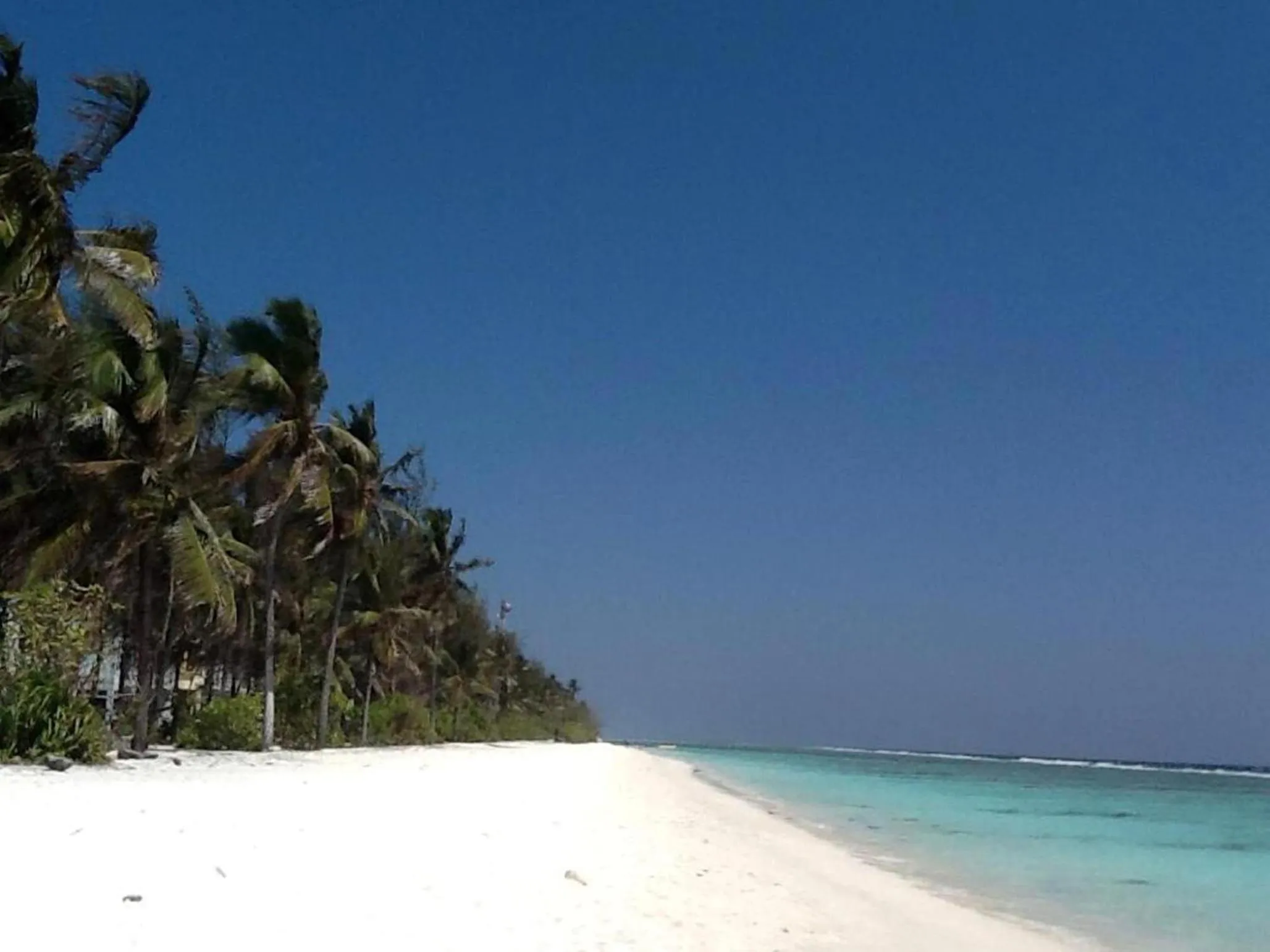 Beach in Beach Palace