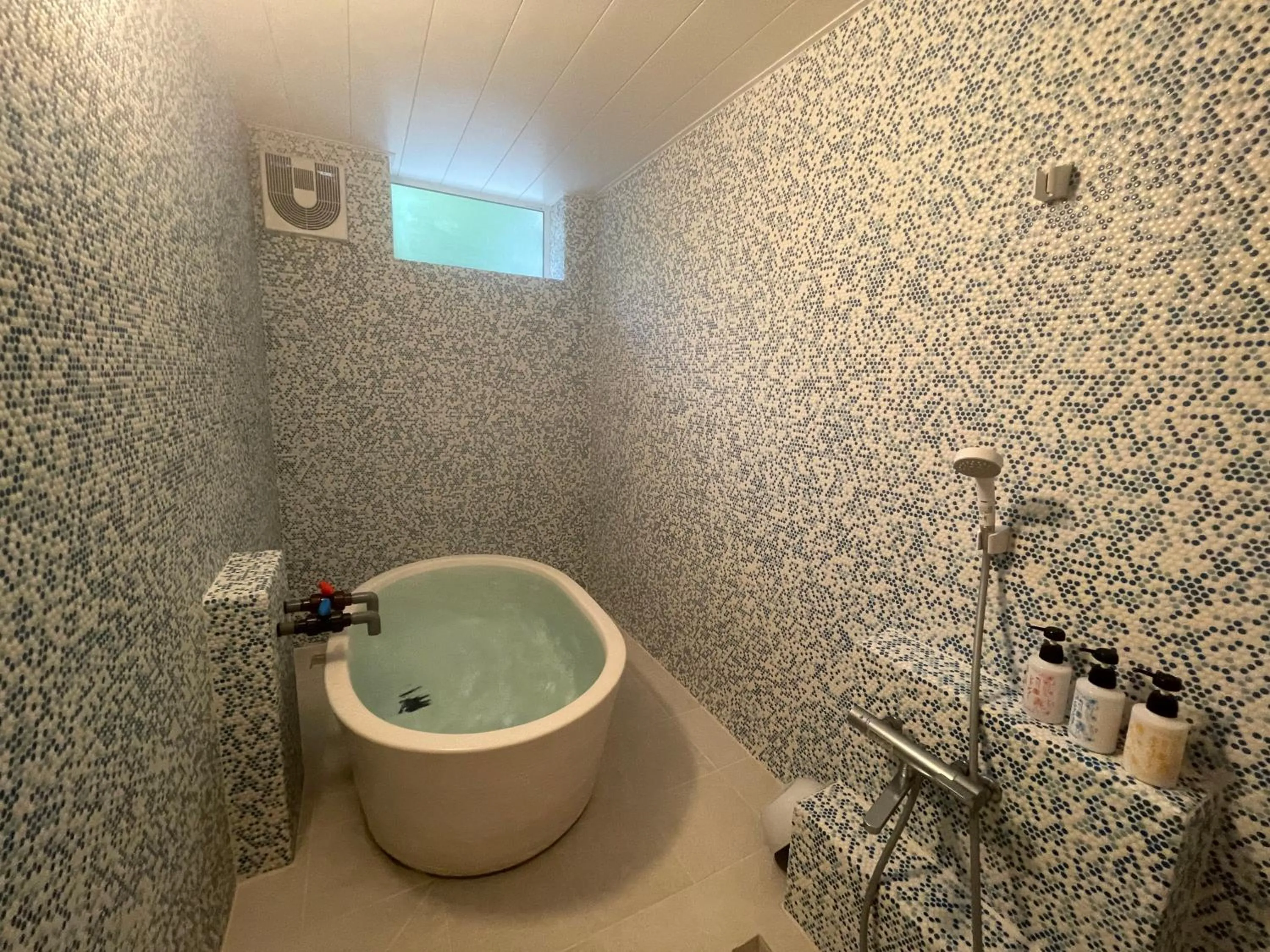 Kusatsu Onsen Kusatsu Hotel1913