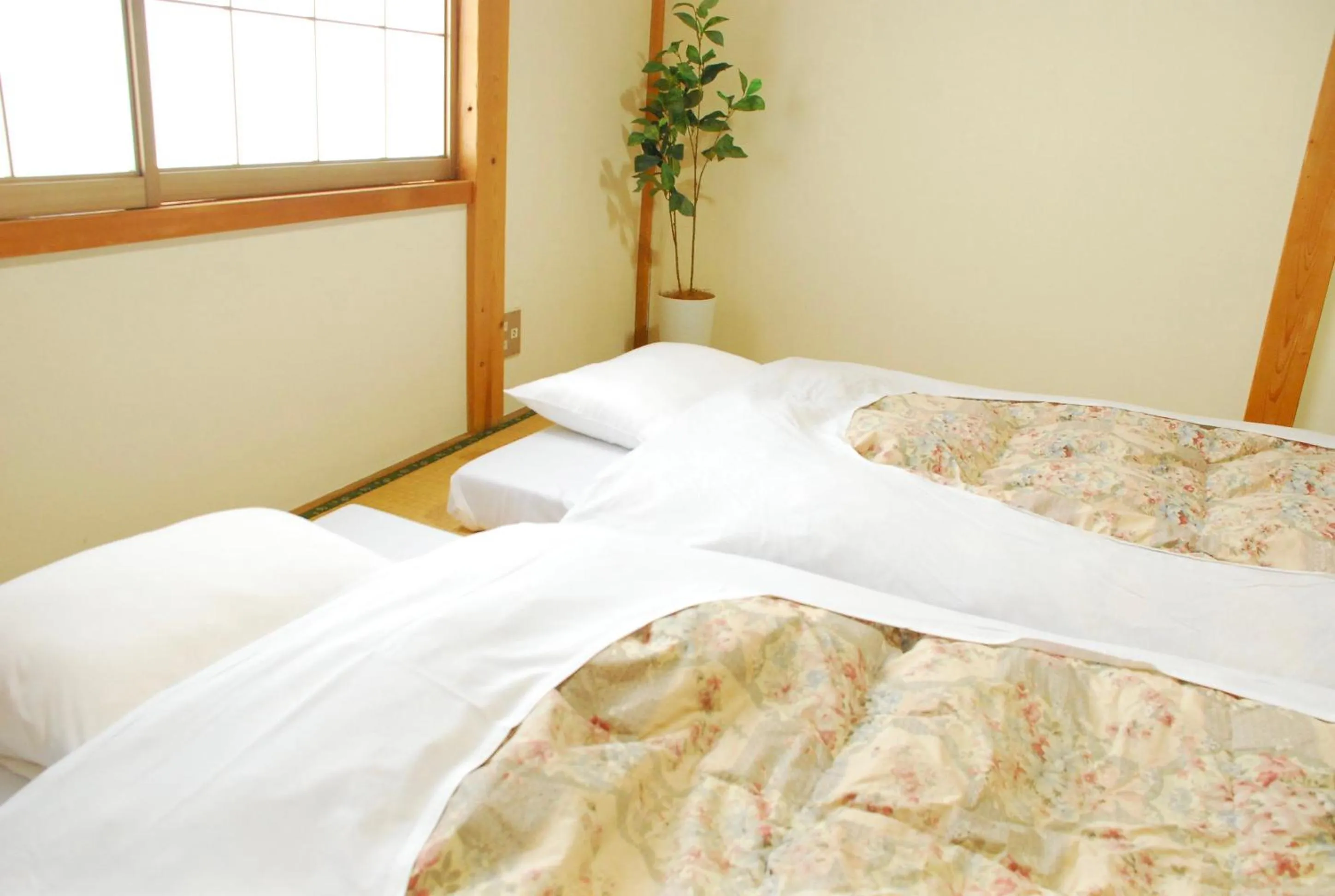 Photo of the whole room in Cocomock House