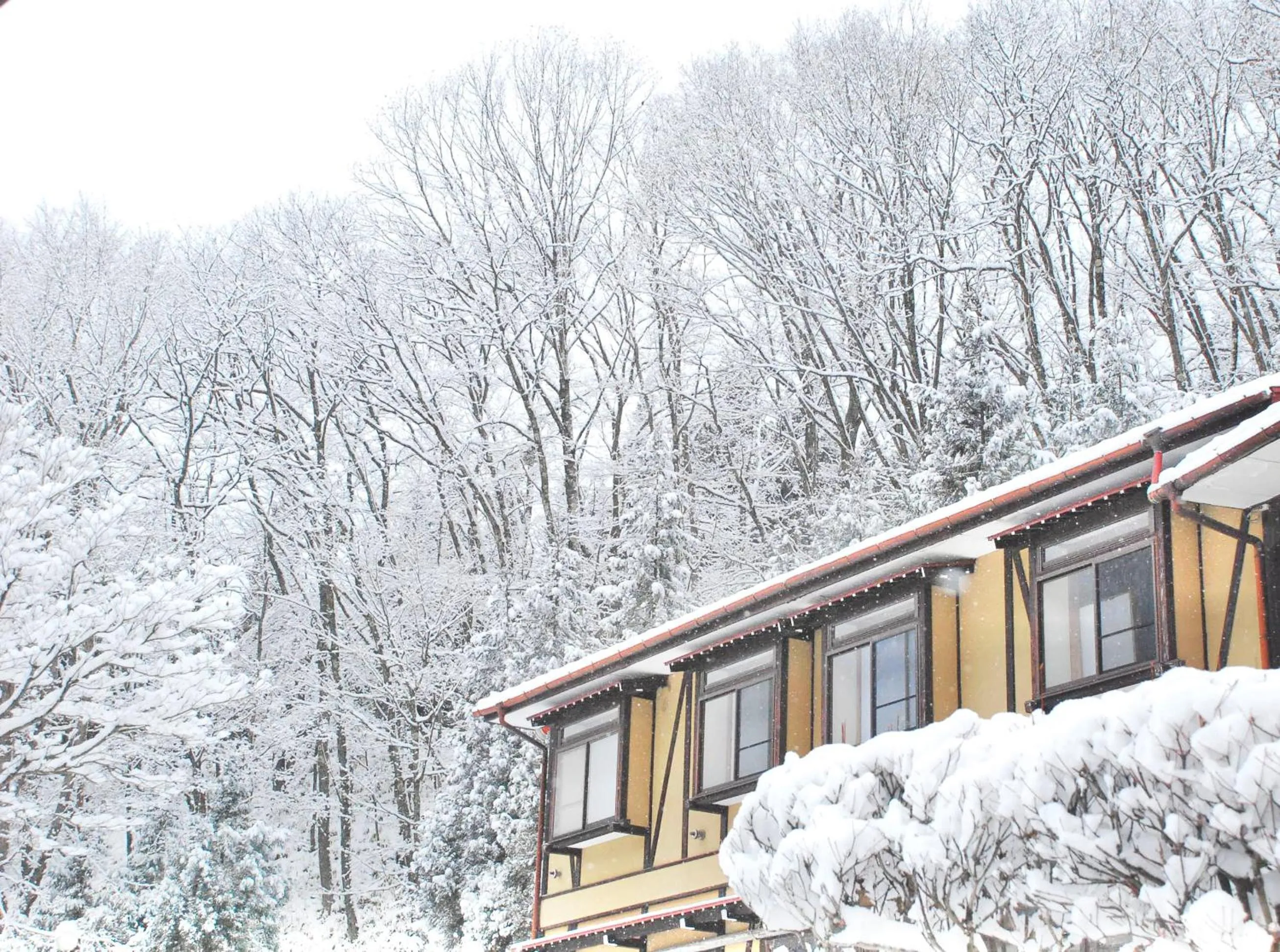 Property building in Cocomock House