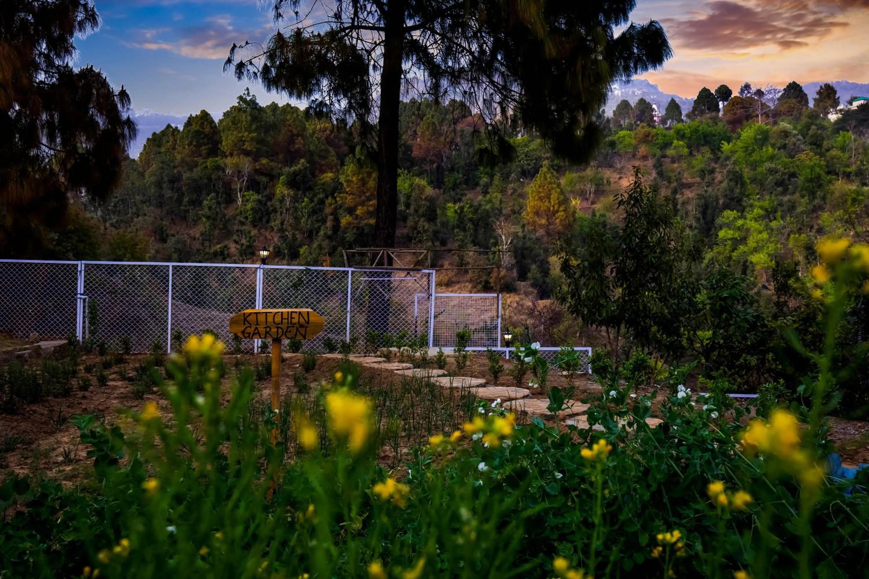 Garden in The Nature's Green Resort, Bhimtal, Nainital