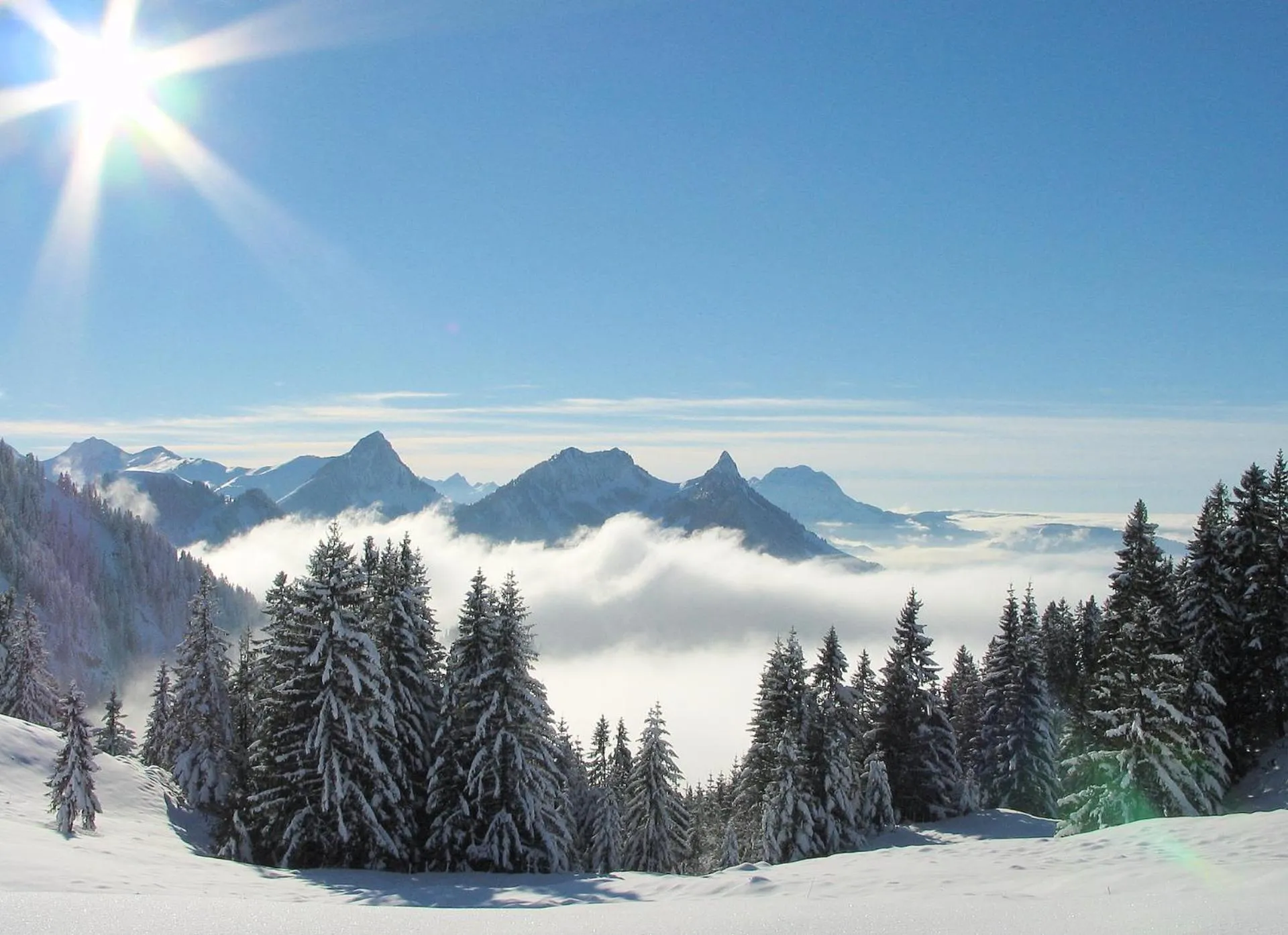 Activities in Hôtel Cailler & Bains de la Gruyère