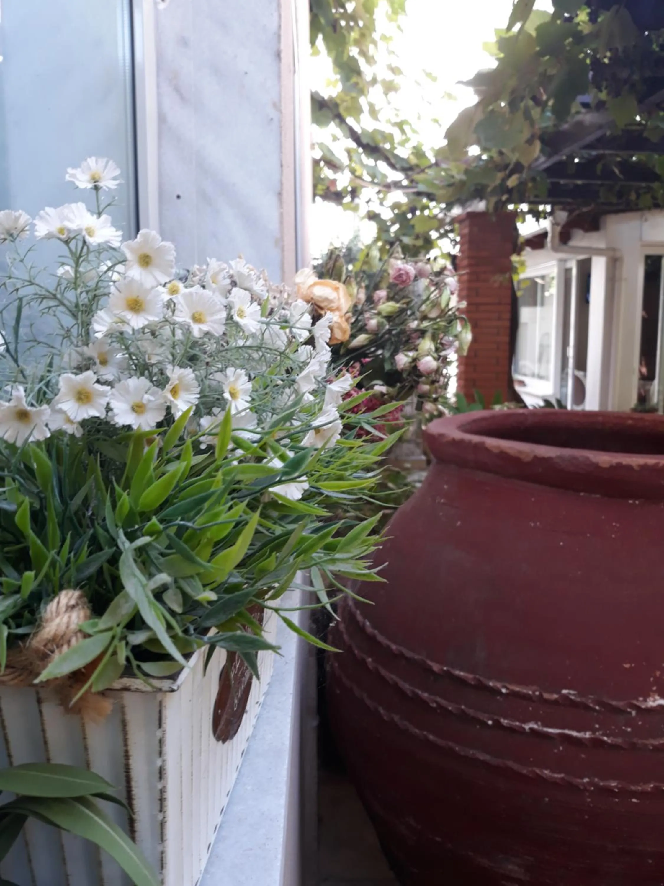Patio in Hotel Galini