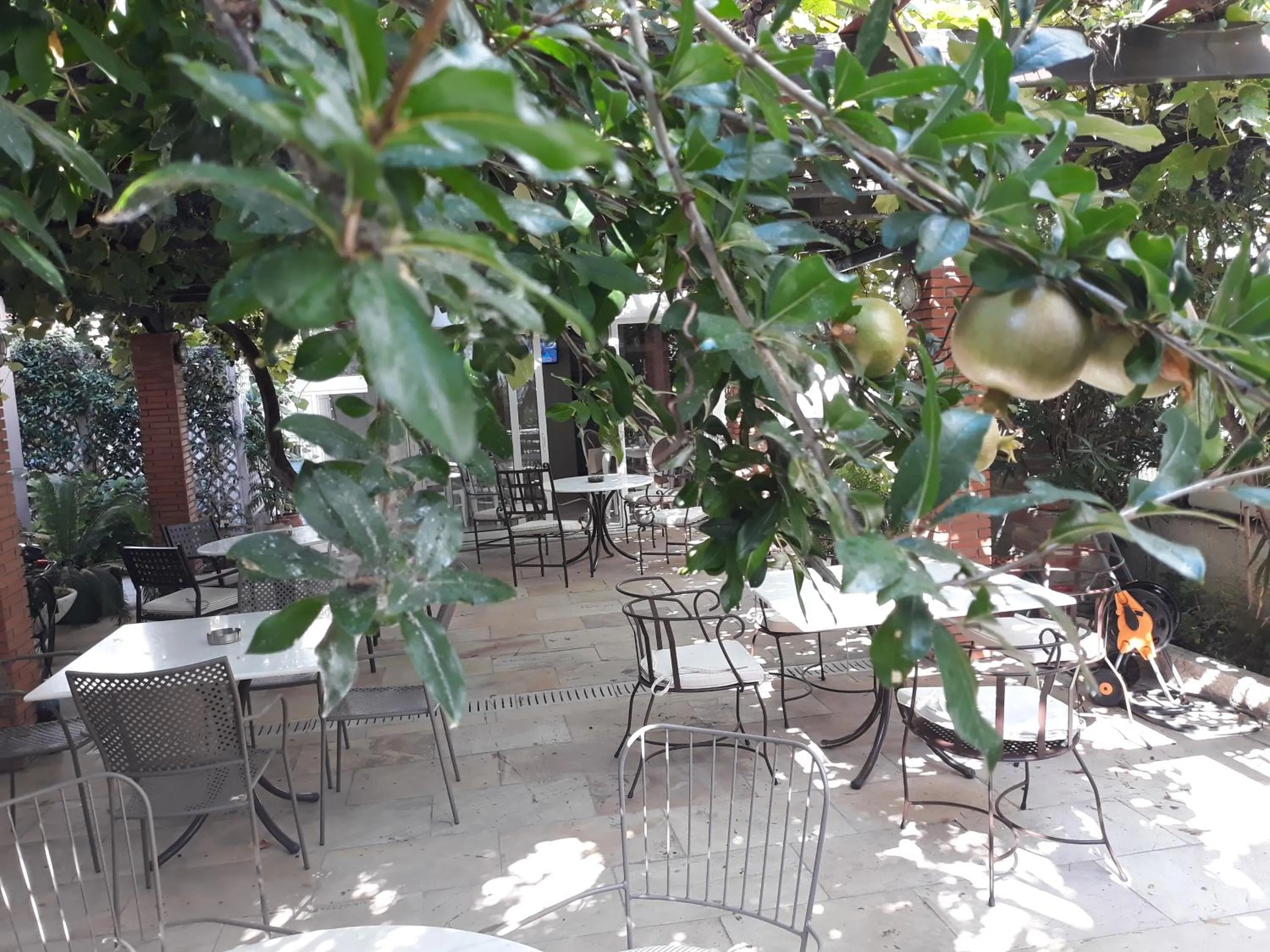 Patio in Hotel Galini