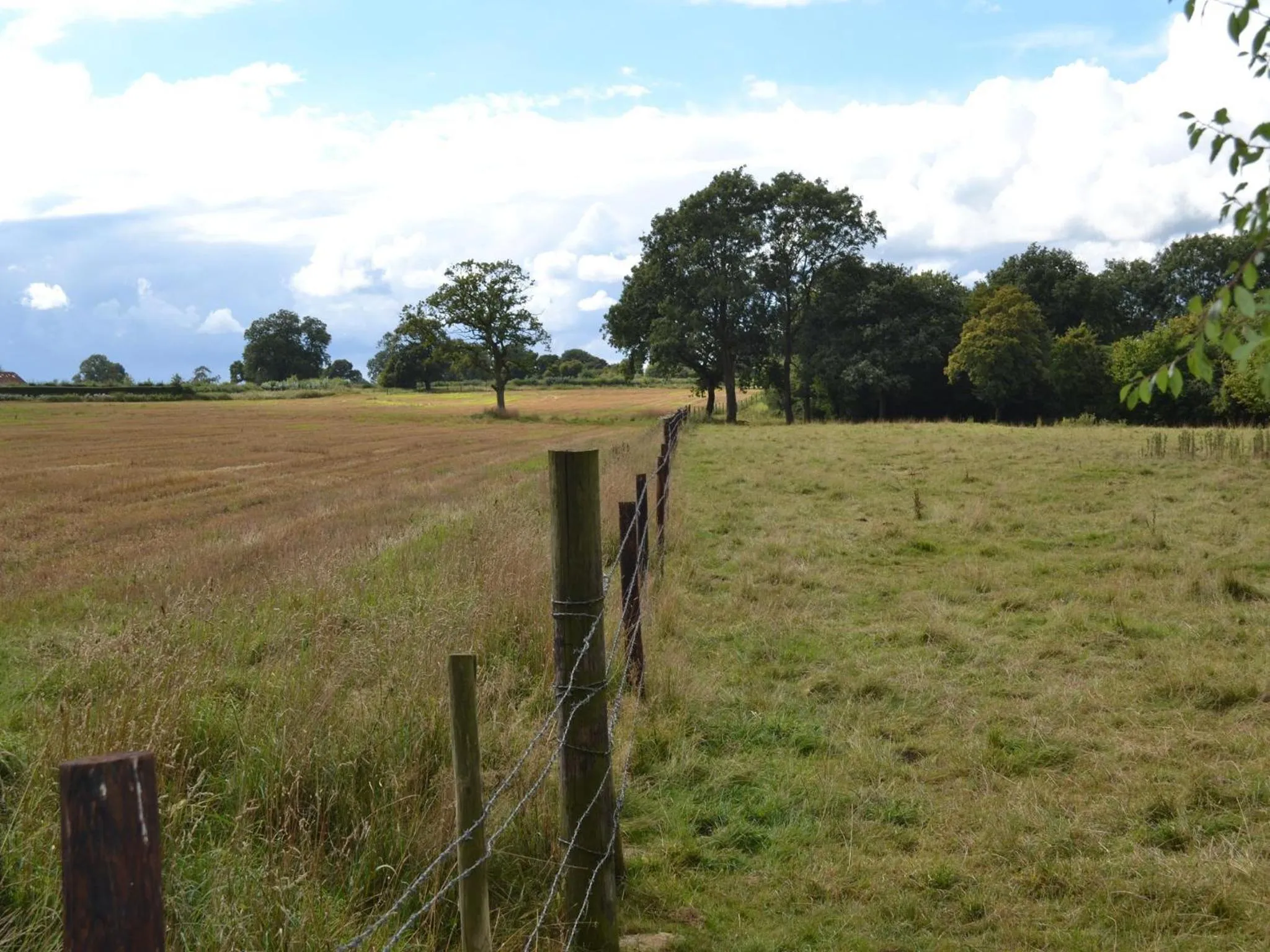 View (from property/room) in Hillcroft Accommodation