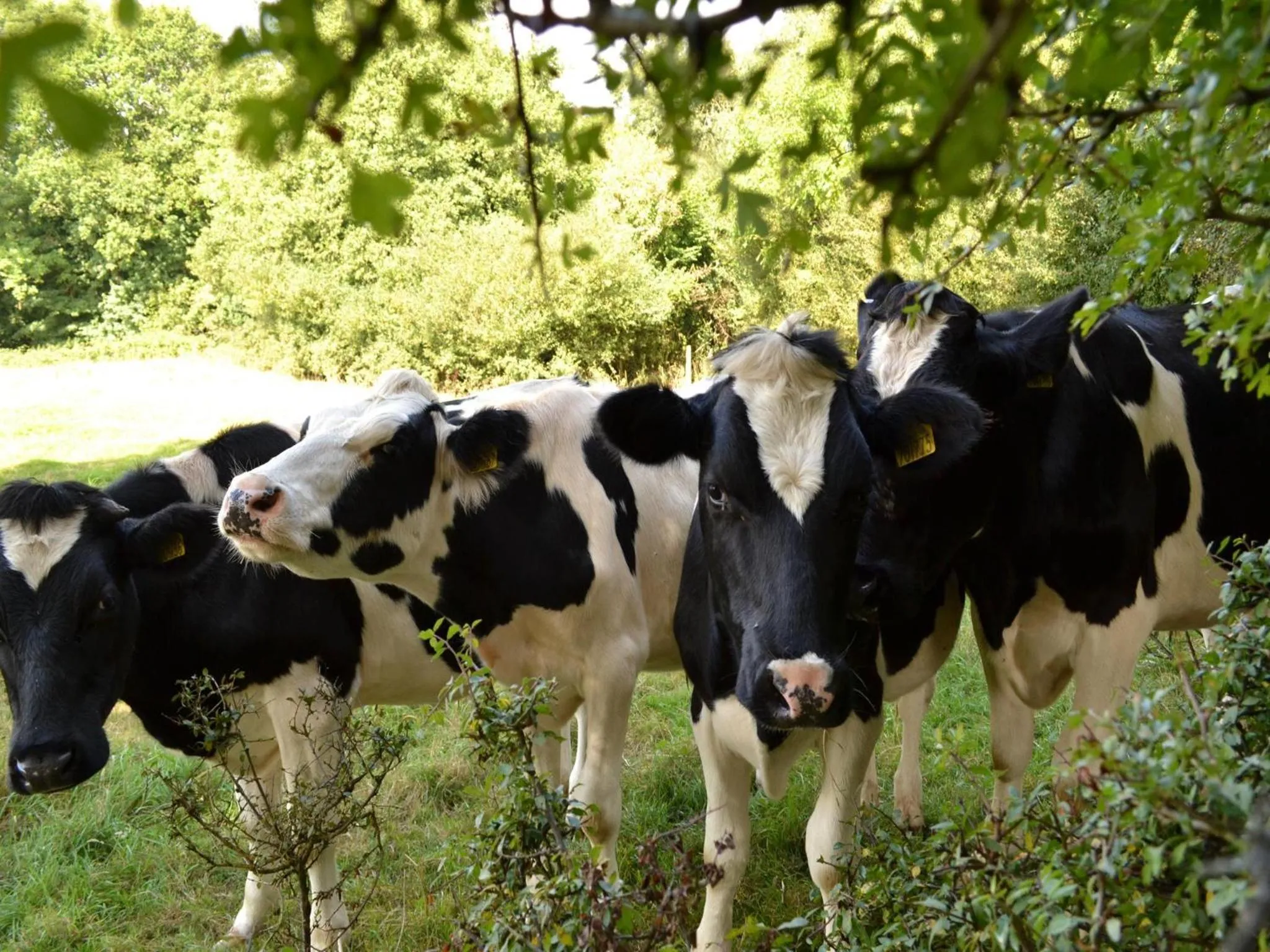 Area and facilities in Hillcroft Accommodation