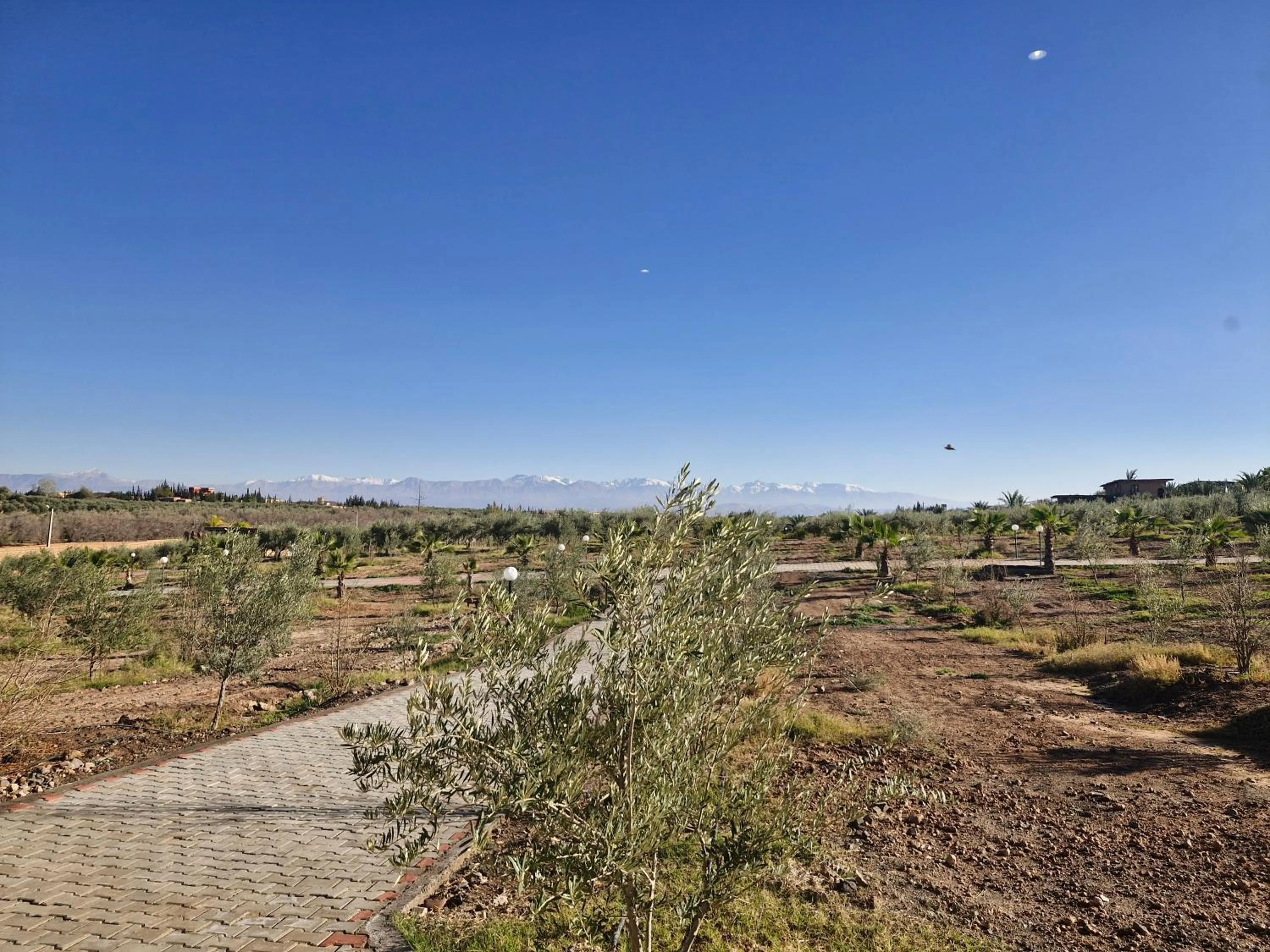 Le Parc des Oliviers