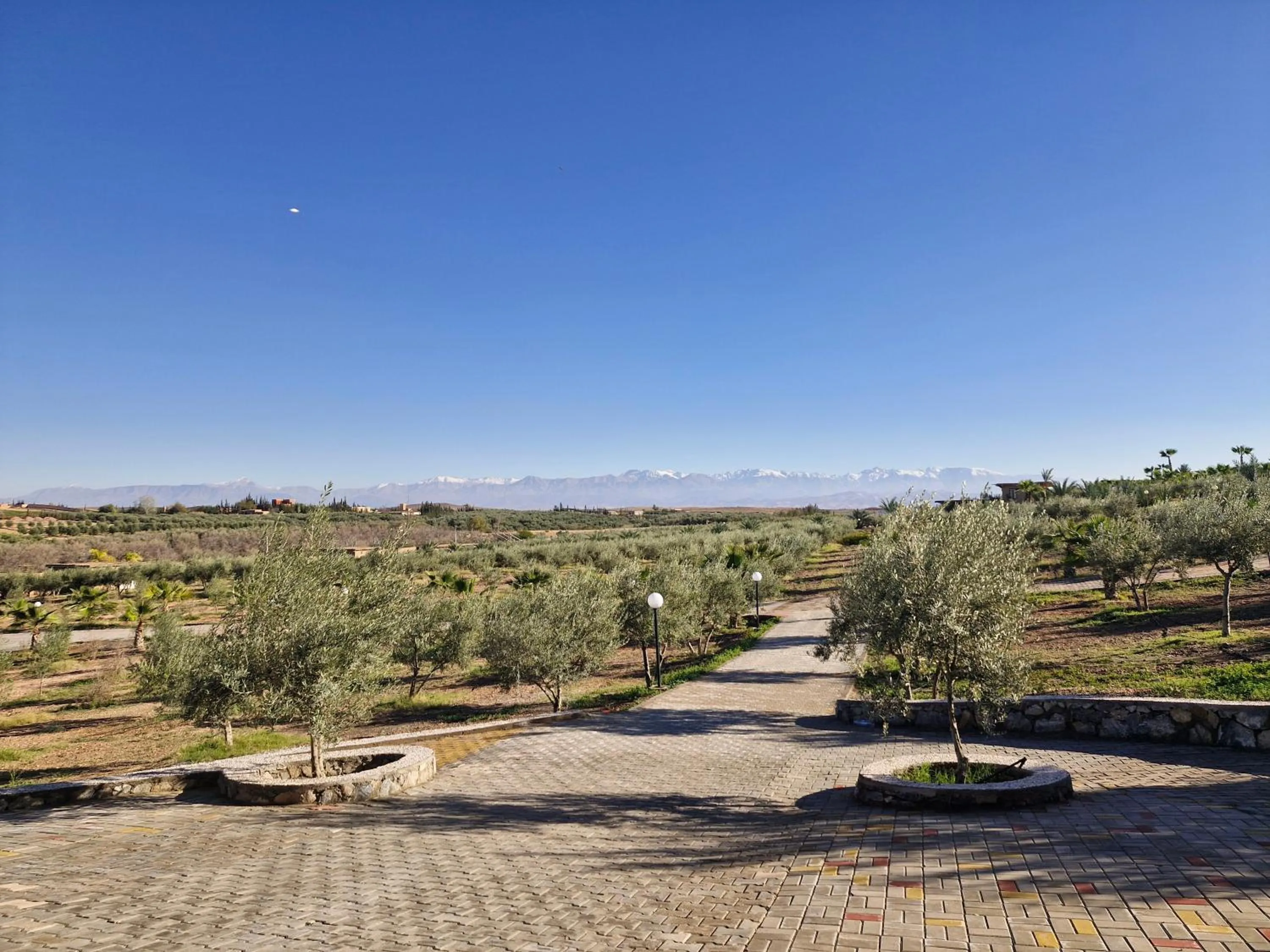 Le Parc des Oliviers