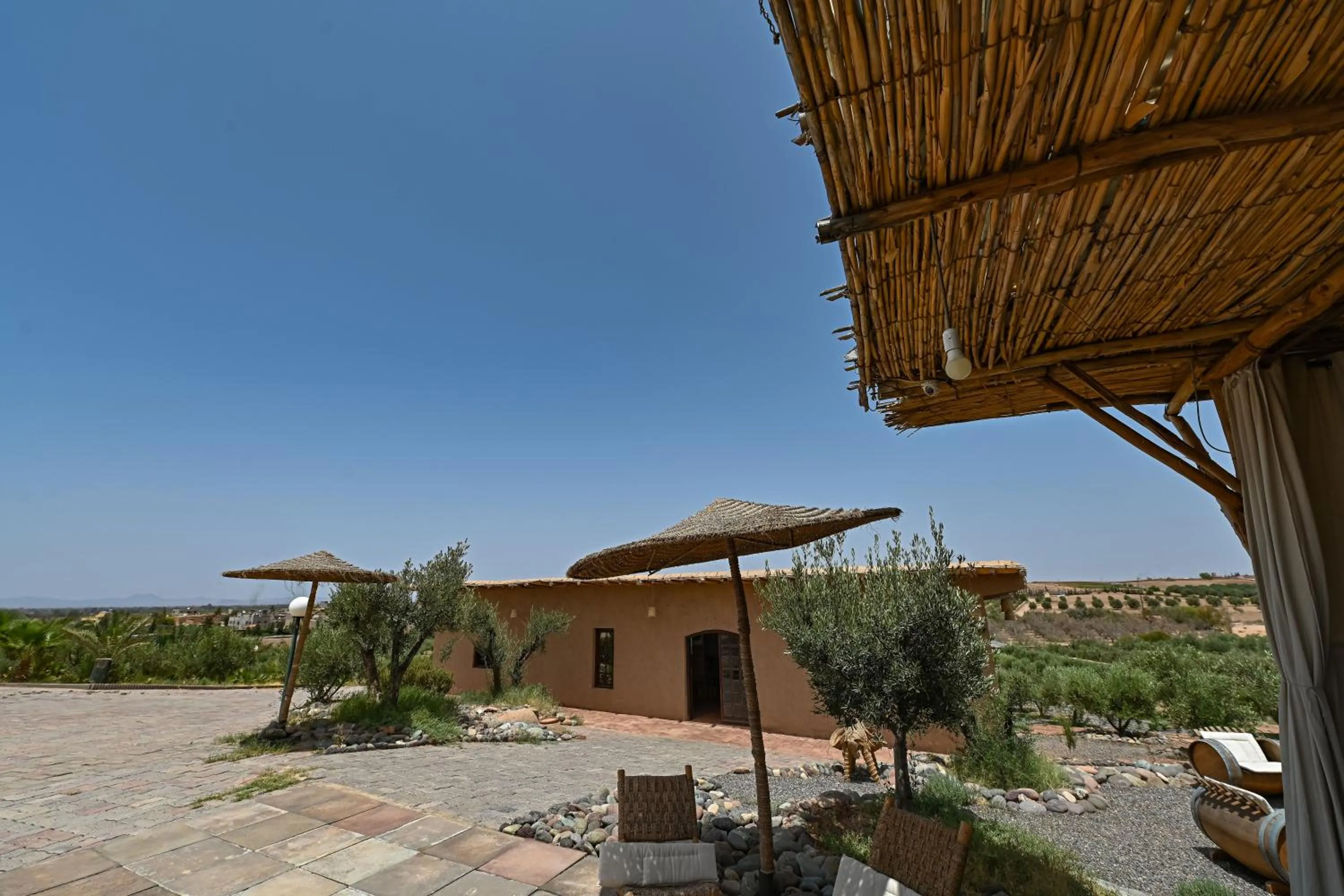 Le Parc des Oliviers