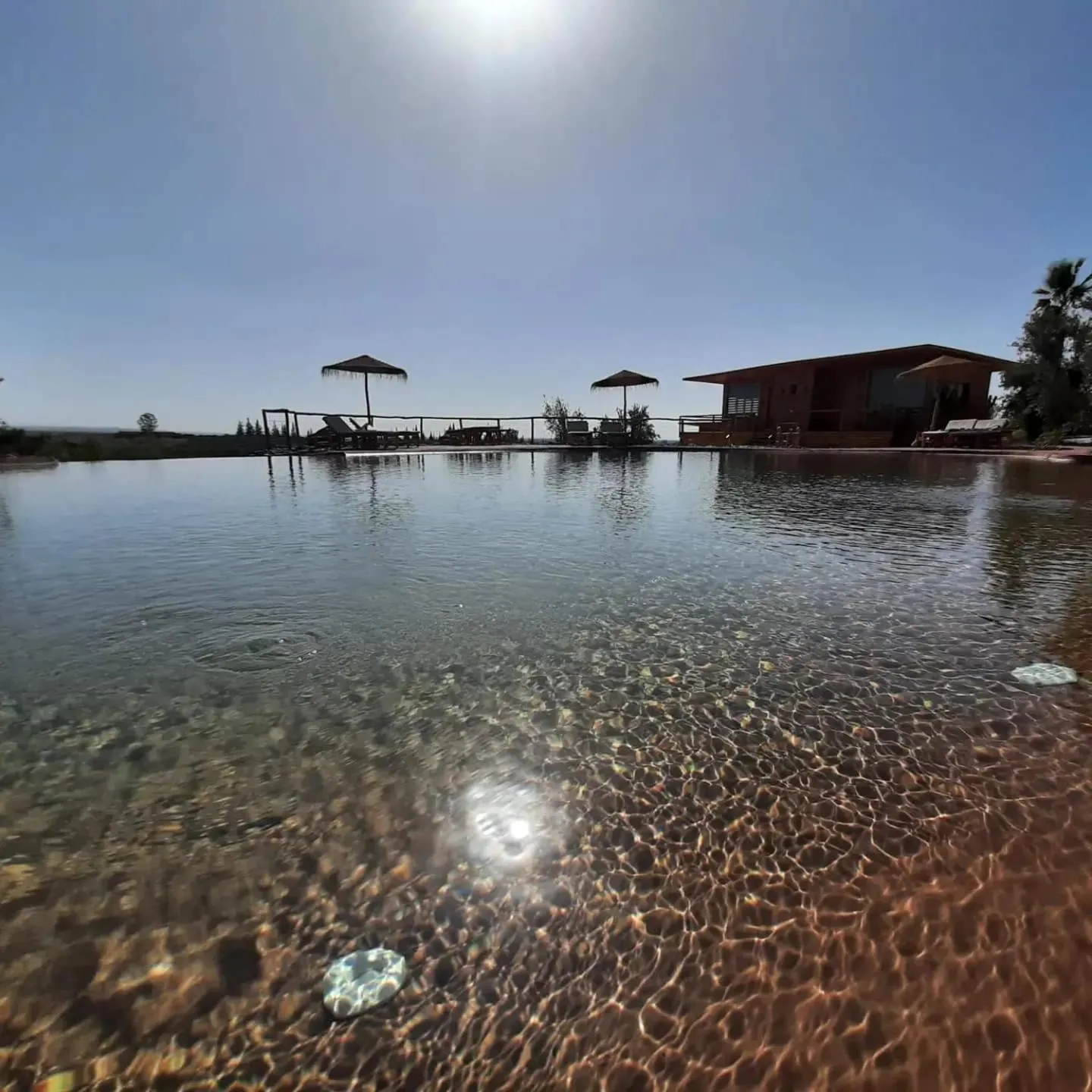 Le Parc des Oliviers