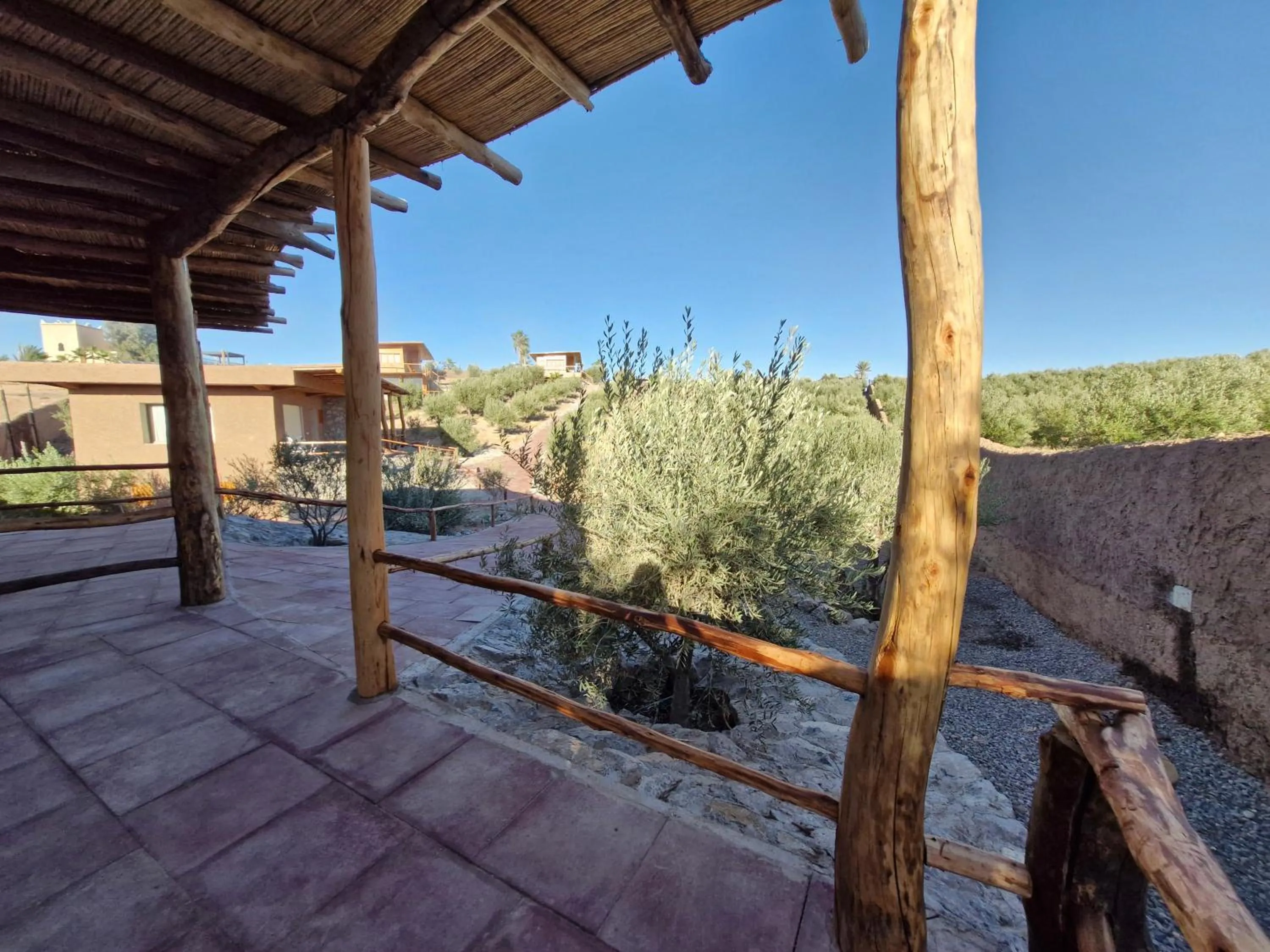 Le Parc des Oliviers