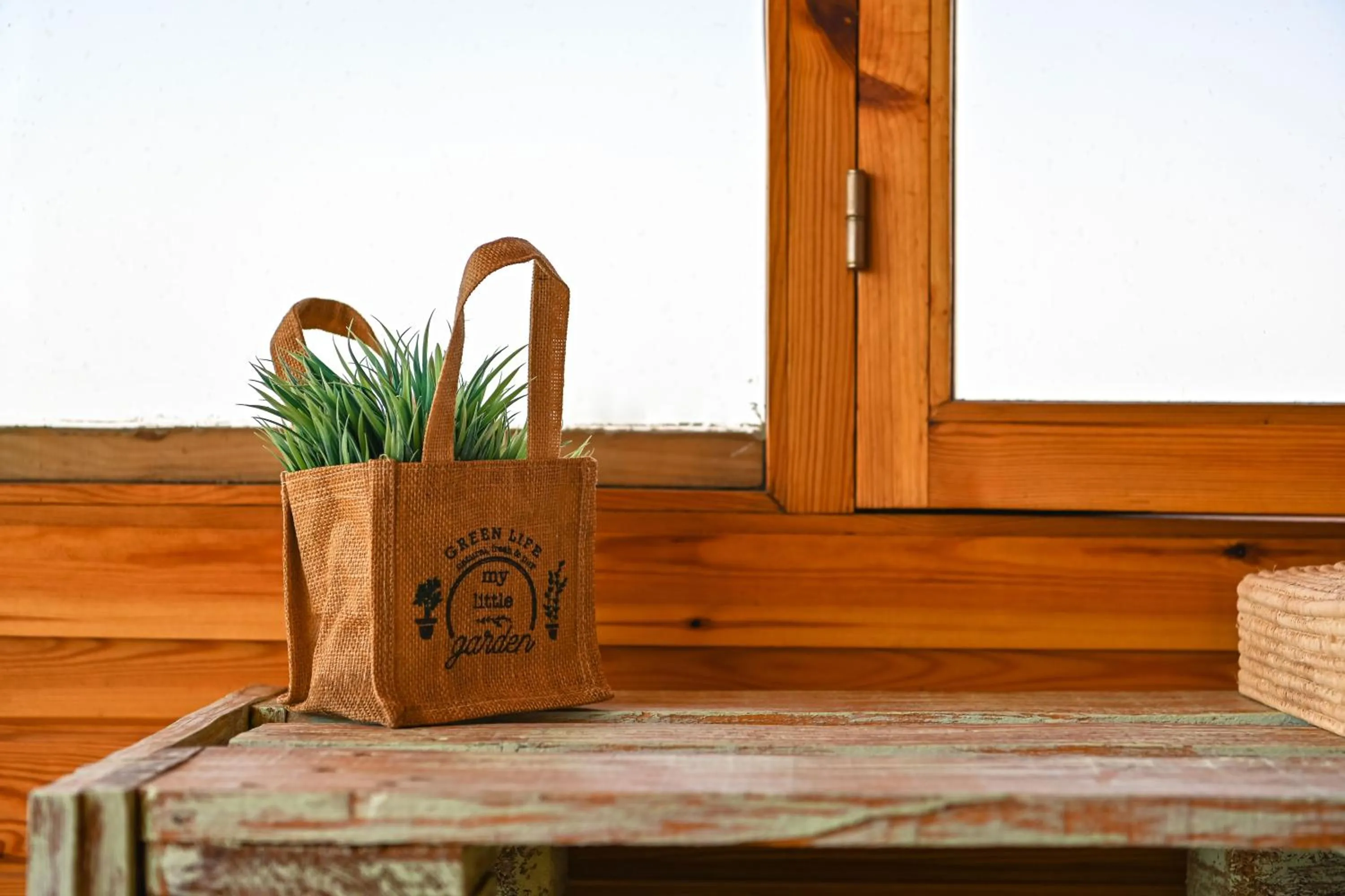 Le Parc des Oliviers