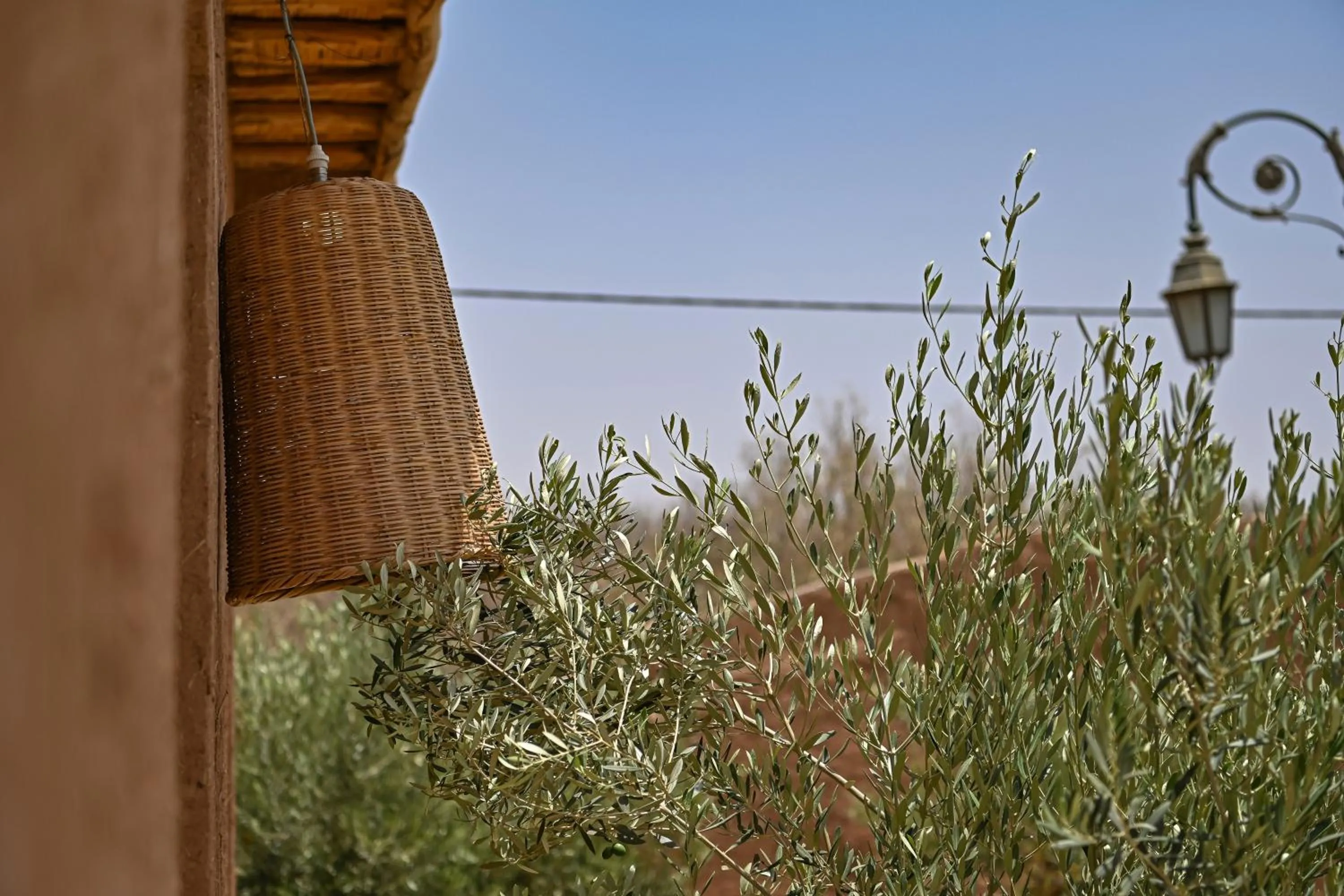 Le Parc des Oliviers