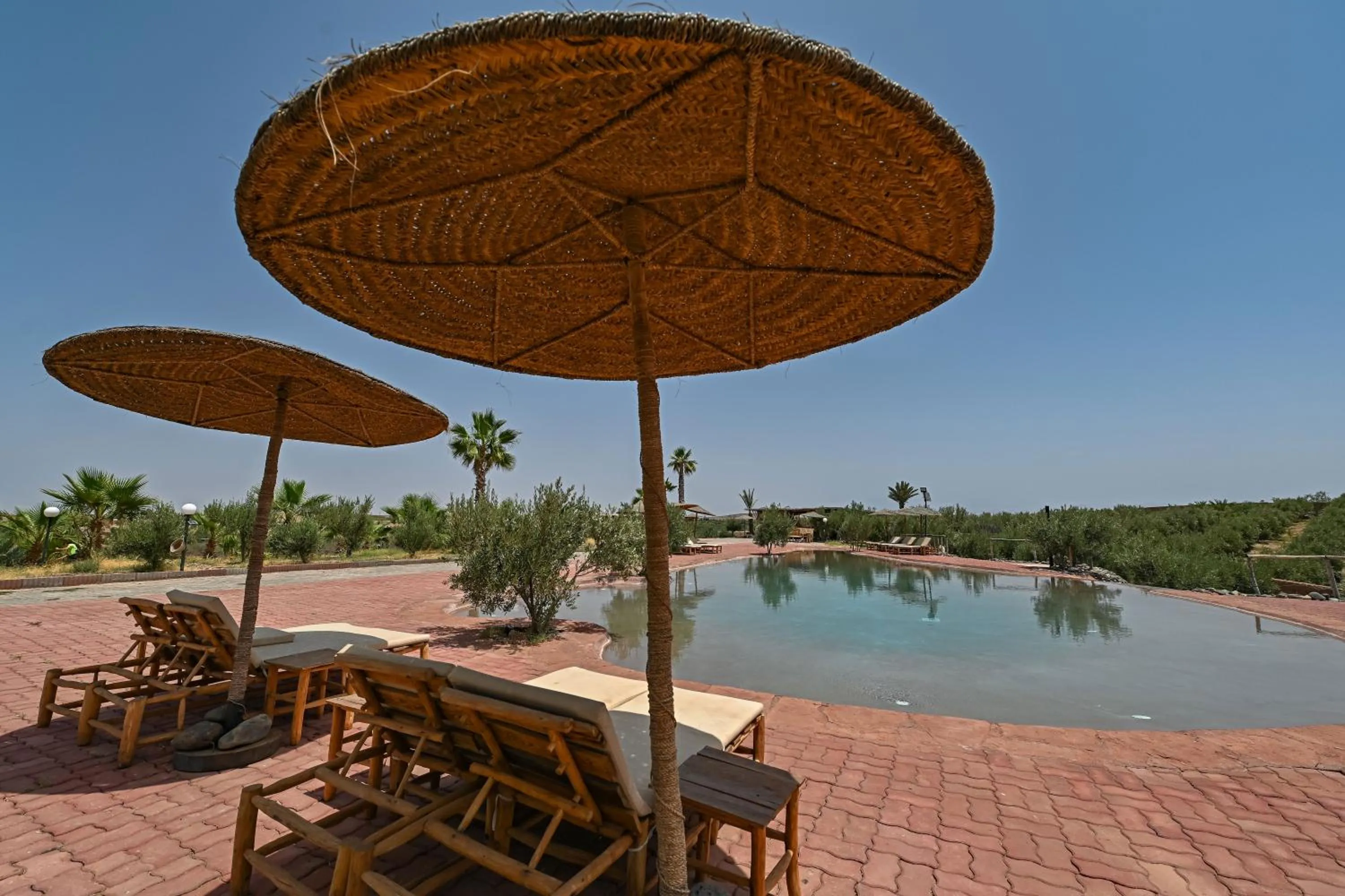 Le Parc des Oliviers