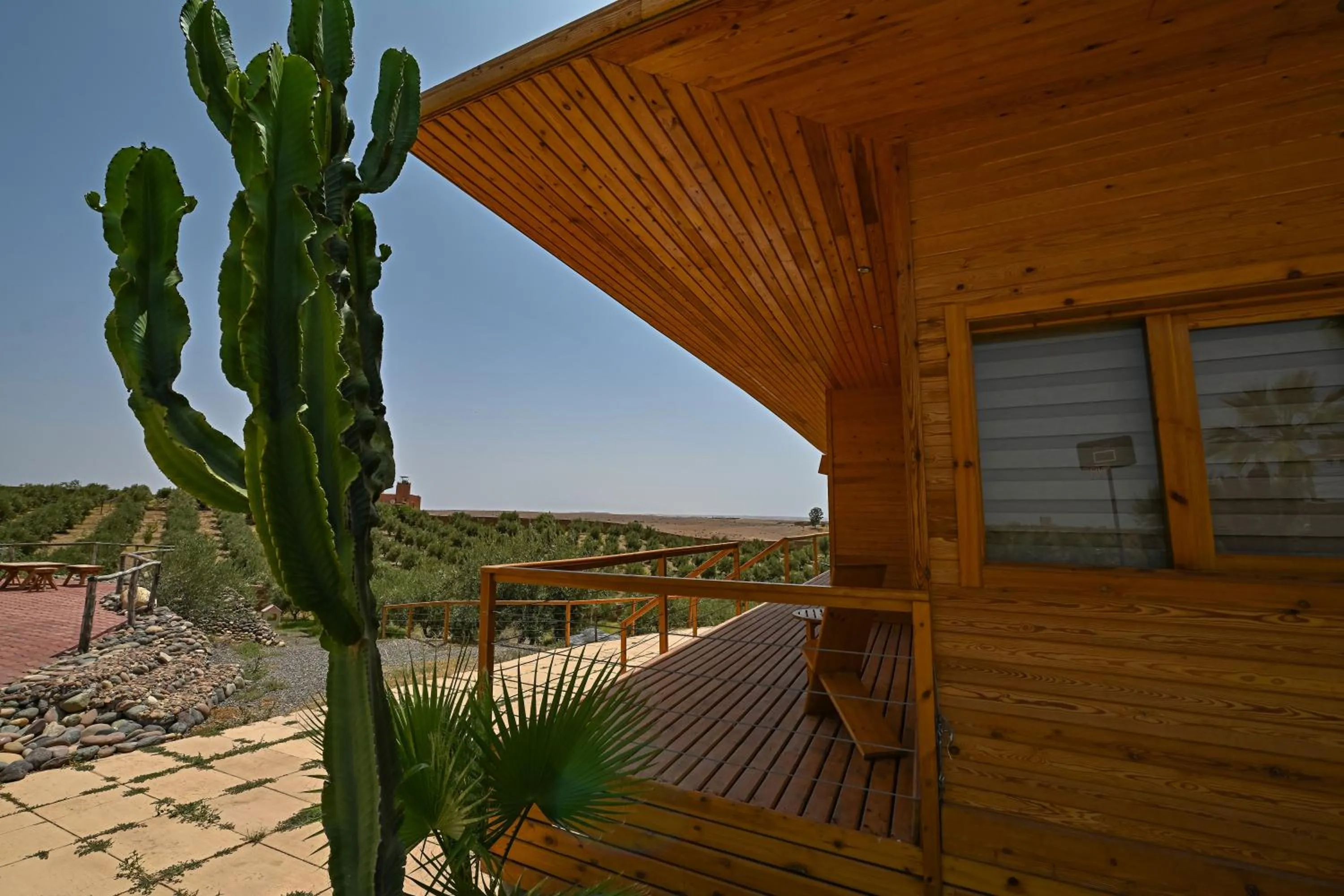 Le Parc des Oliviers