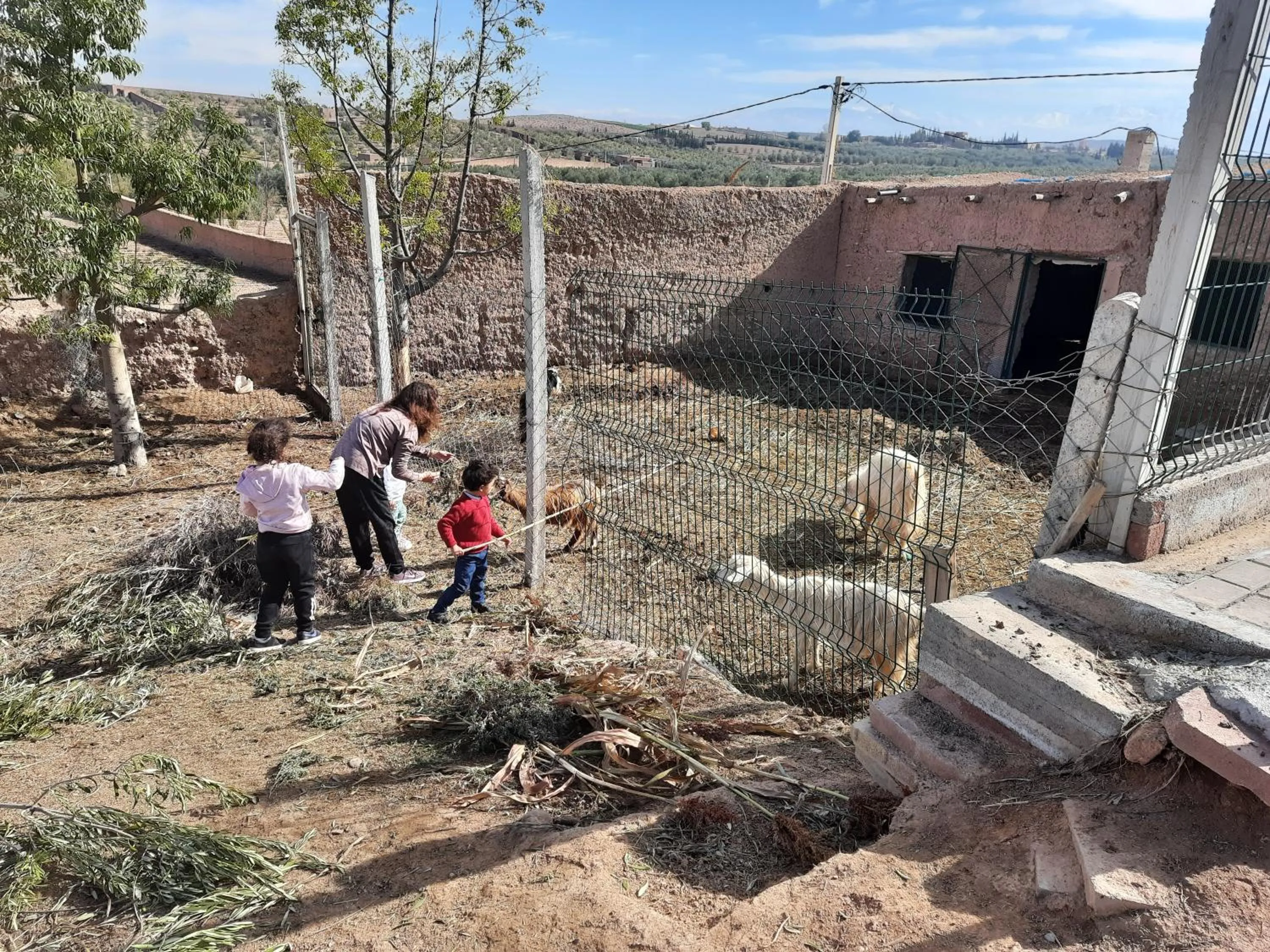 Le Parc des Oliviers