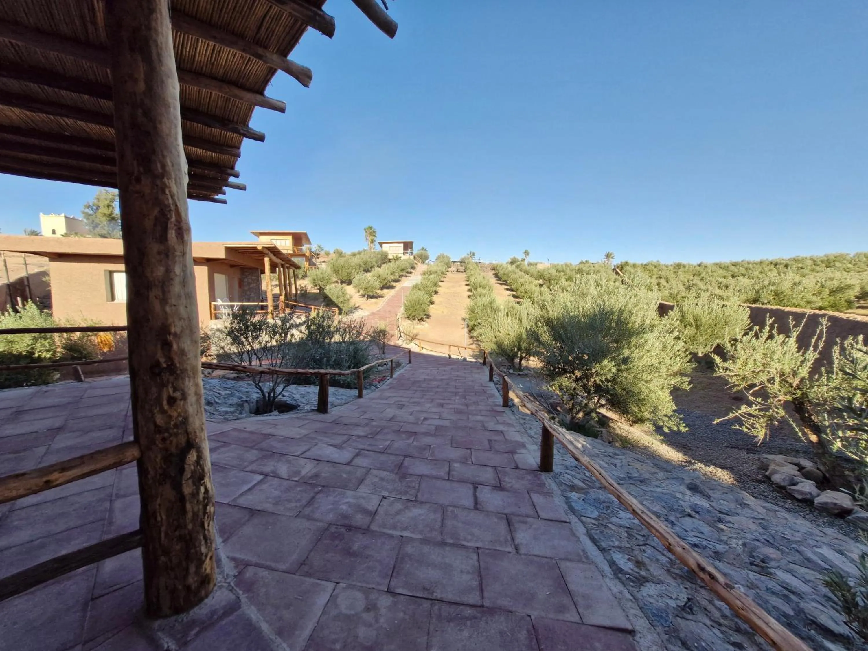 Le Parc des Oliviers