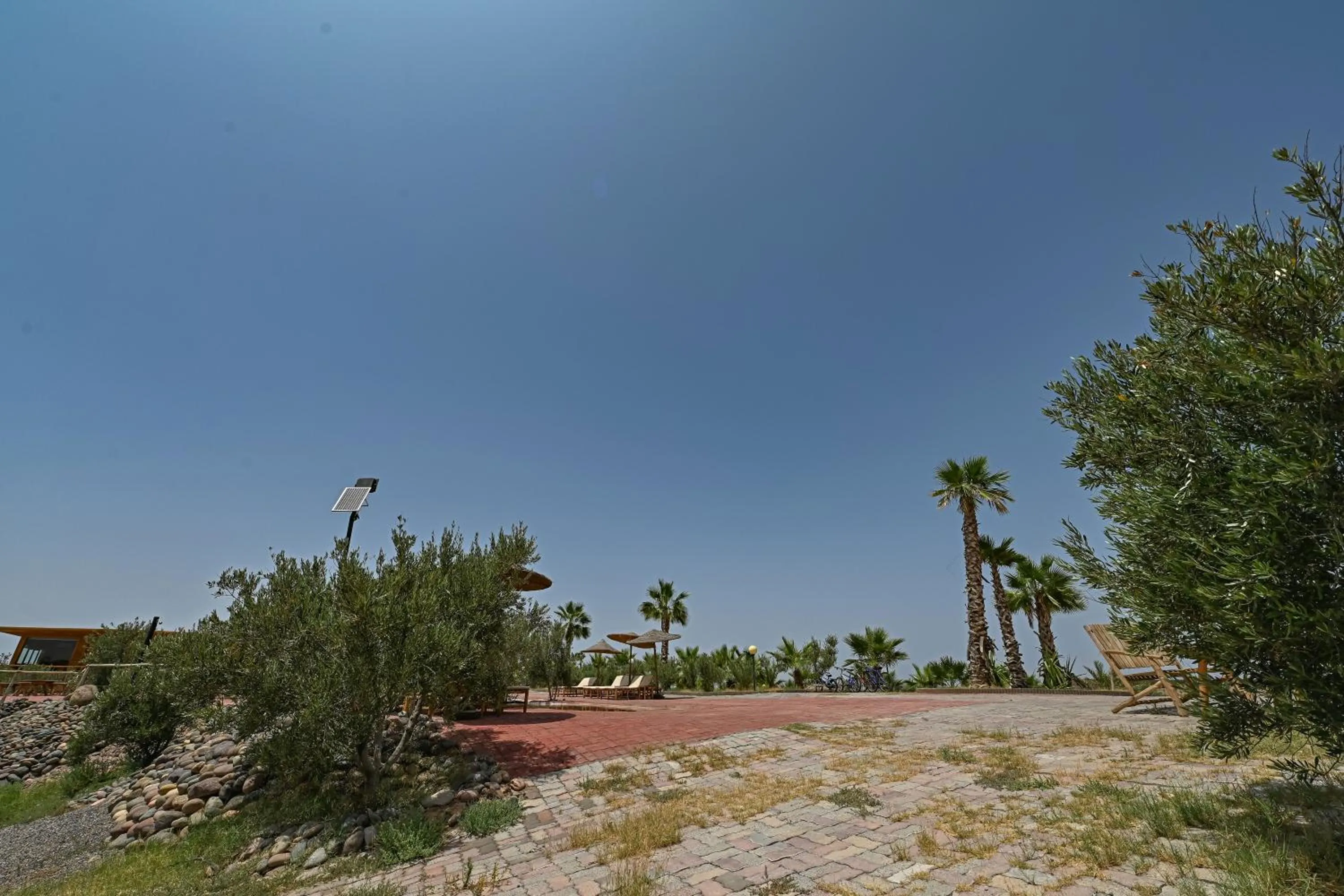 Le Parc des Oliviers