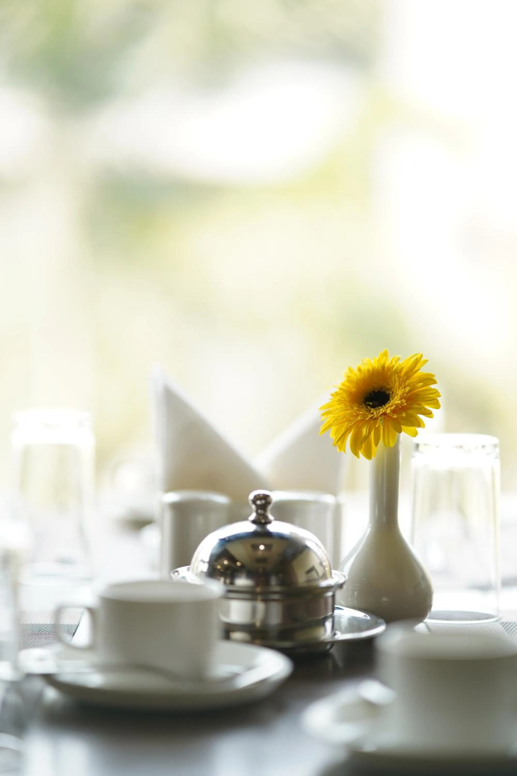 Restaurant/places to eat in Spree Hotel Jaipur