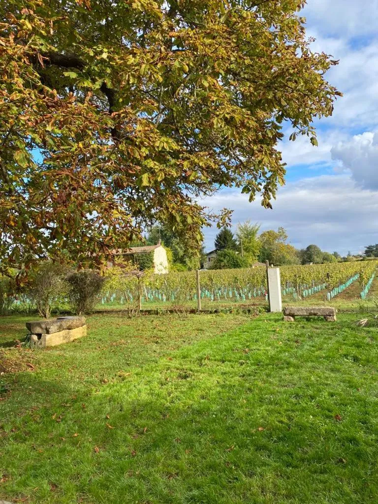 Garden view in Le Jardin dans les vignes
