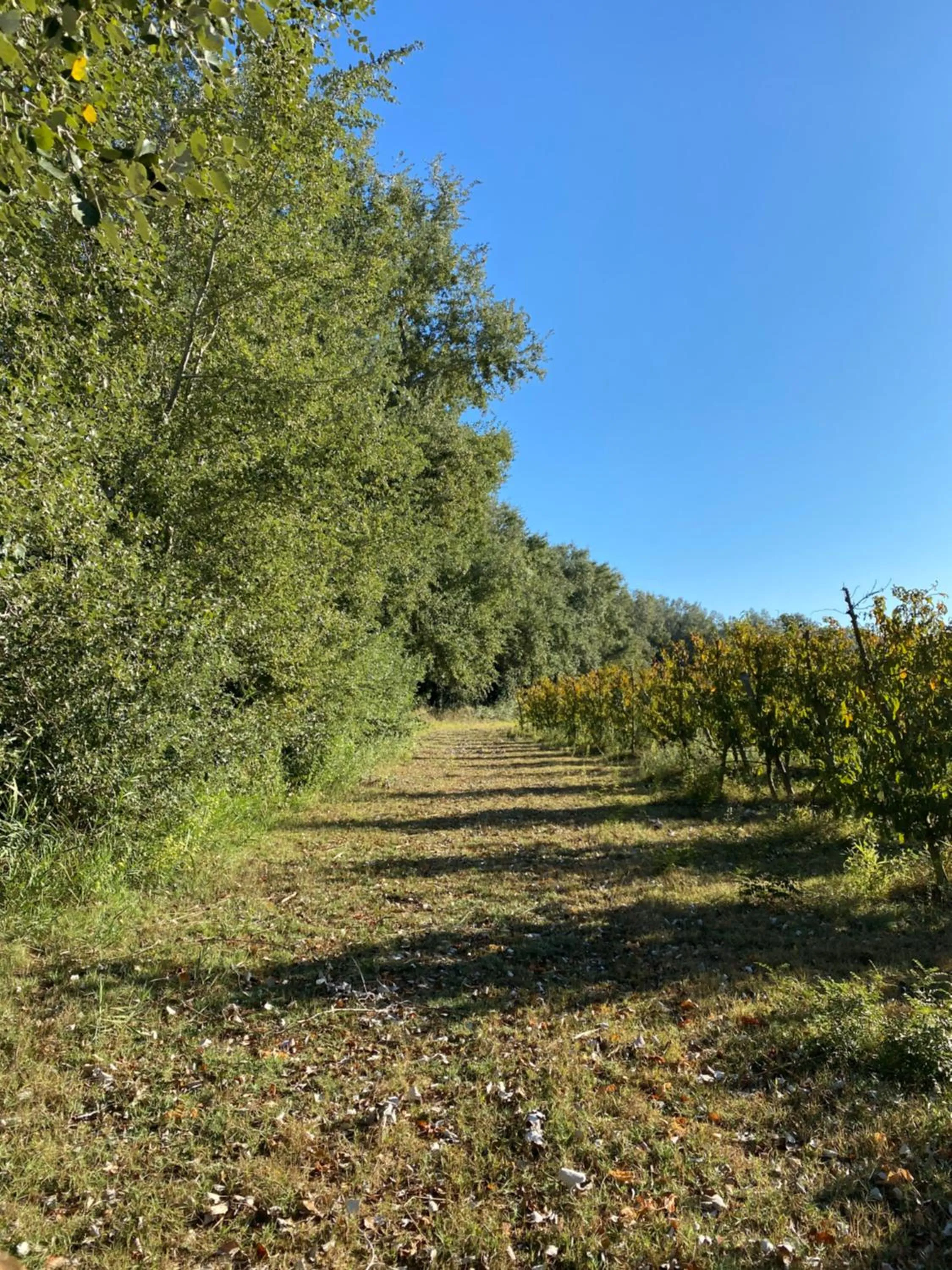 Off site in Hotel Rural Mas de l'Illa