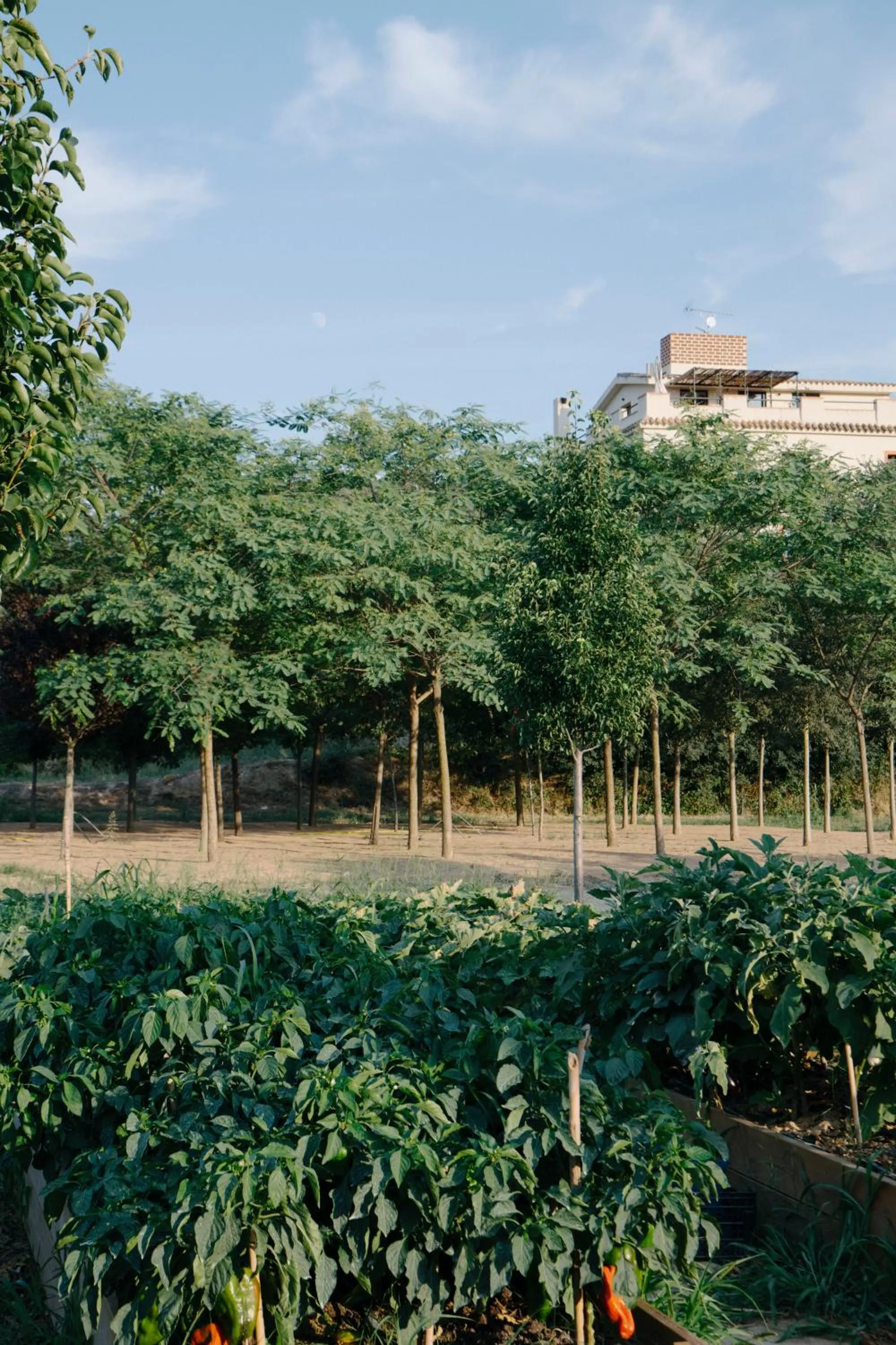 Hotel Rural Mas de l'Illa