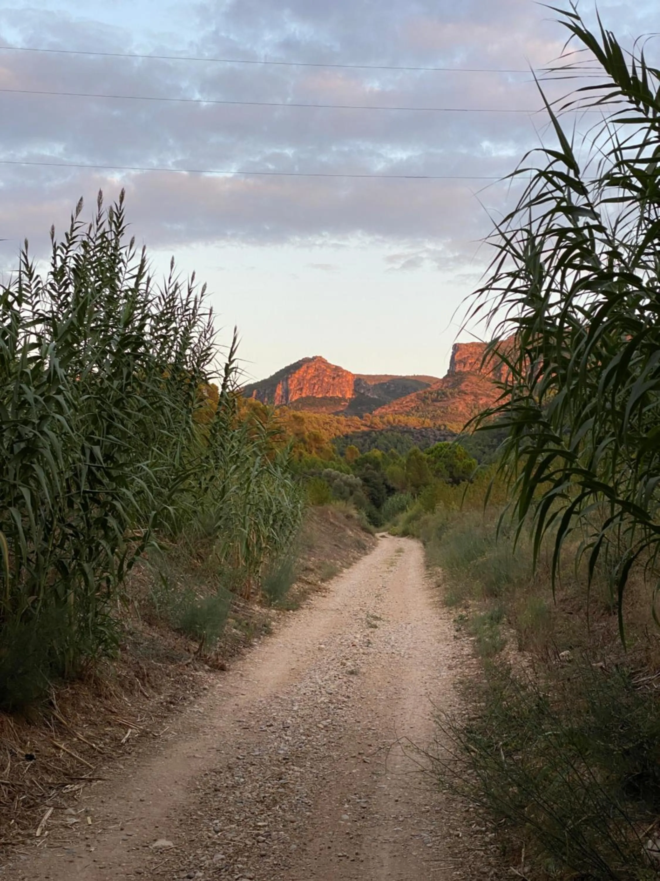 Off site in Hotel Rural Mas de l'Illa