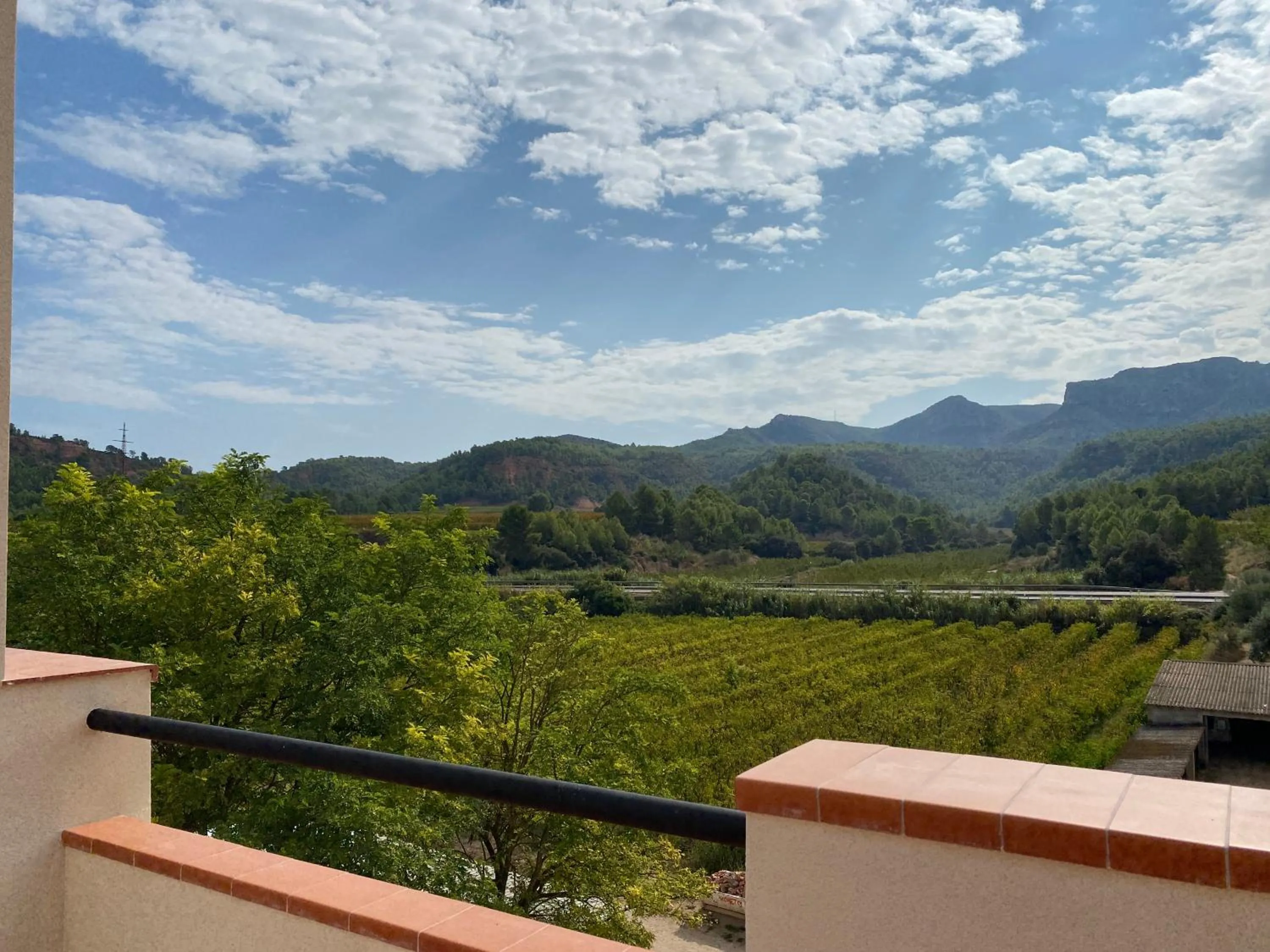 Balcony/Terrace in Hotel Rural Mas de l'Illa