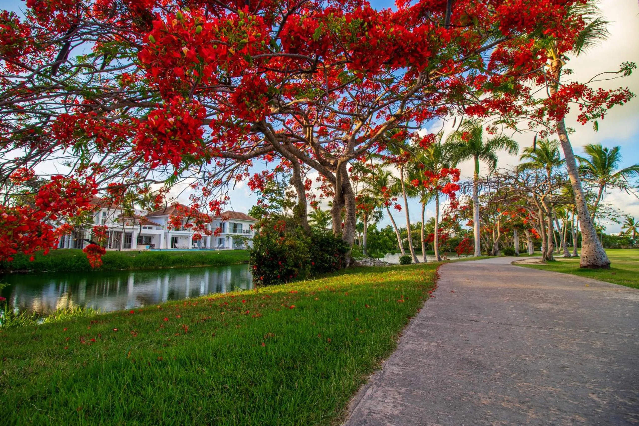 Garden in Luxury Rentals in Punta Cana - Exclusive Waterfall Villa with Private Pool, BBQ, Maid, Golf