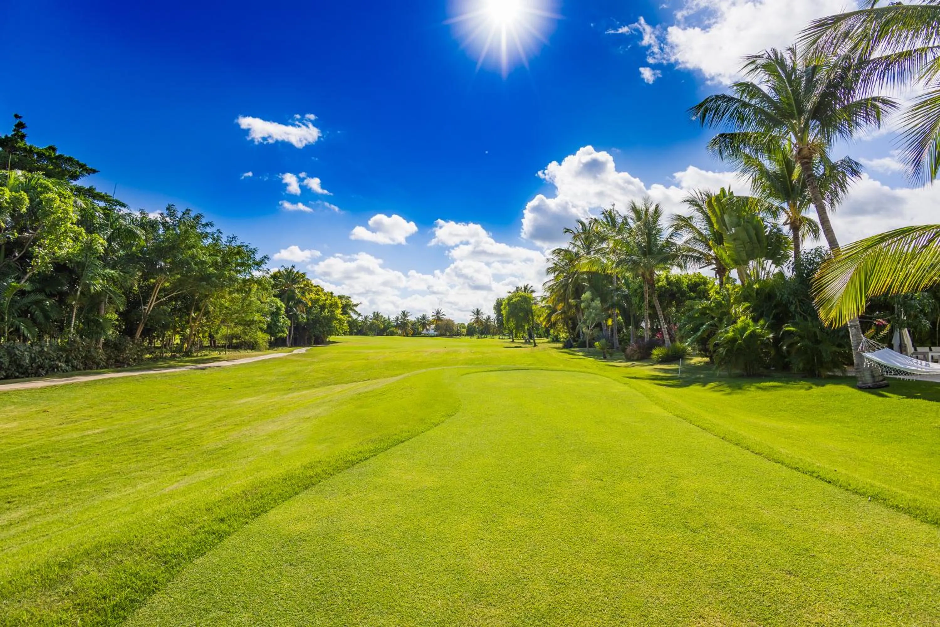 Garden in Luxury Rentals in Punta Cana - Exclusive Waterfall Villa with Private Pool, BBQ, Maid, Golf