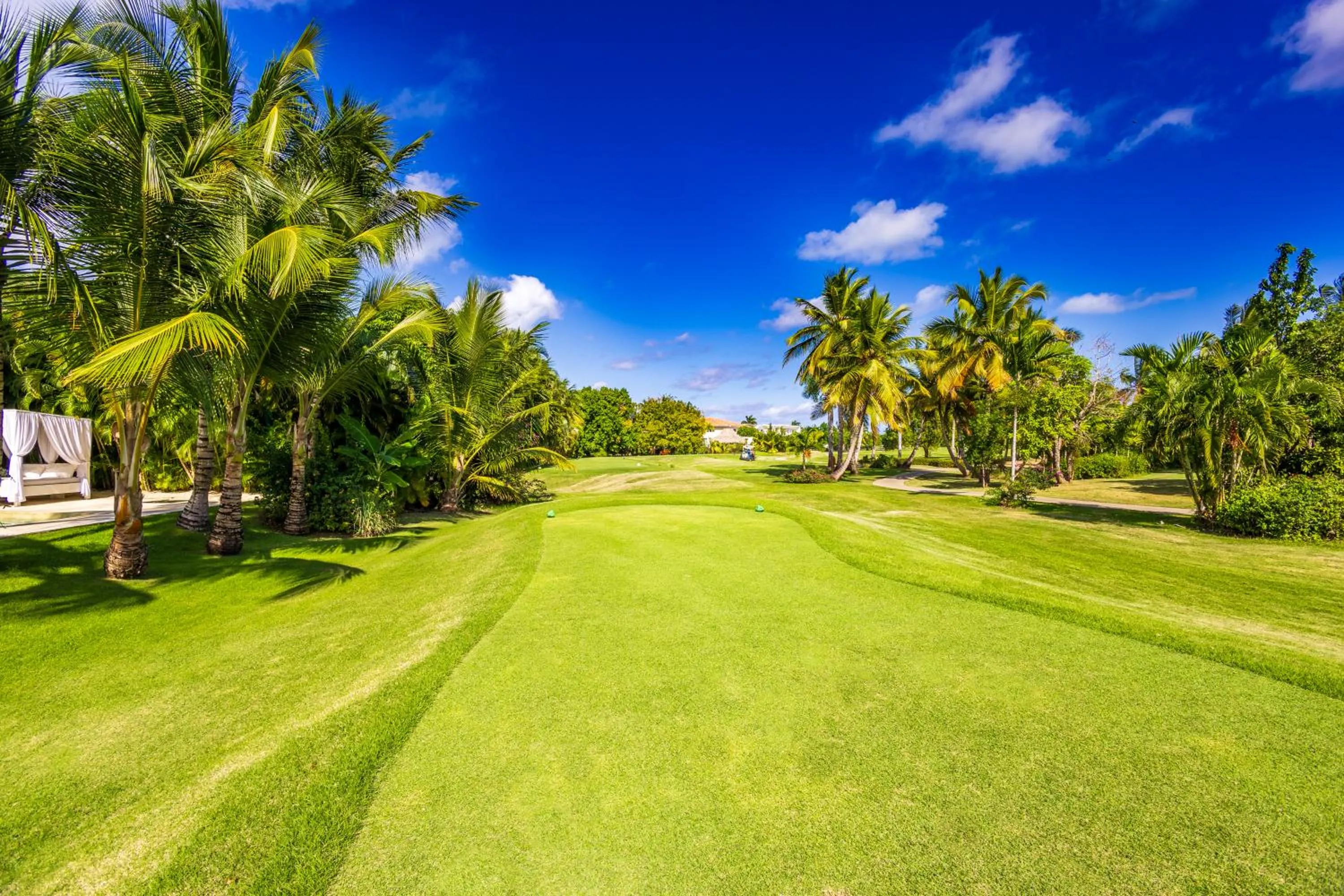 Garden in Luxury Rentals in Punta Cana - Exclusive Waterfall Villa with Private Pool, BBQ, Maid, Golf