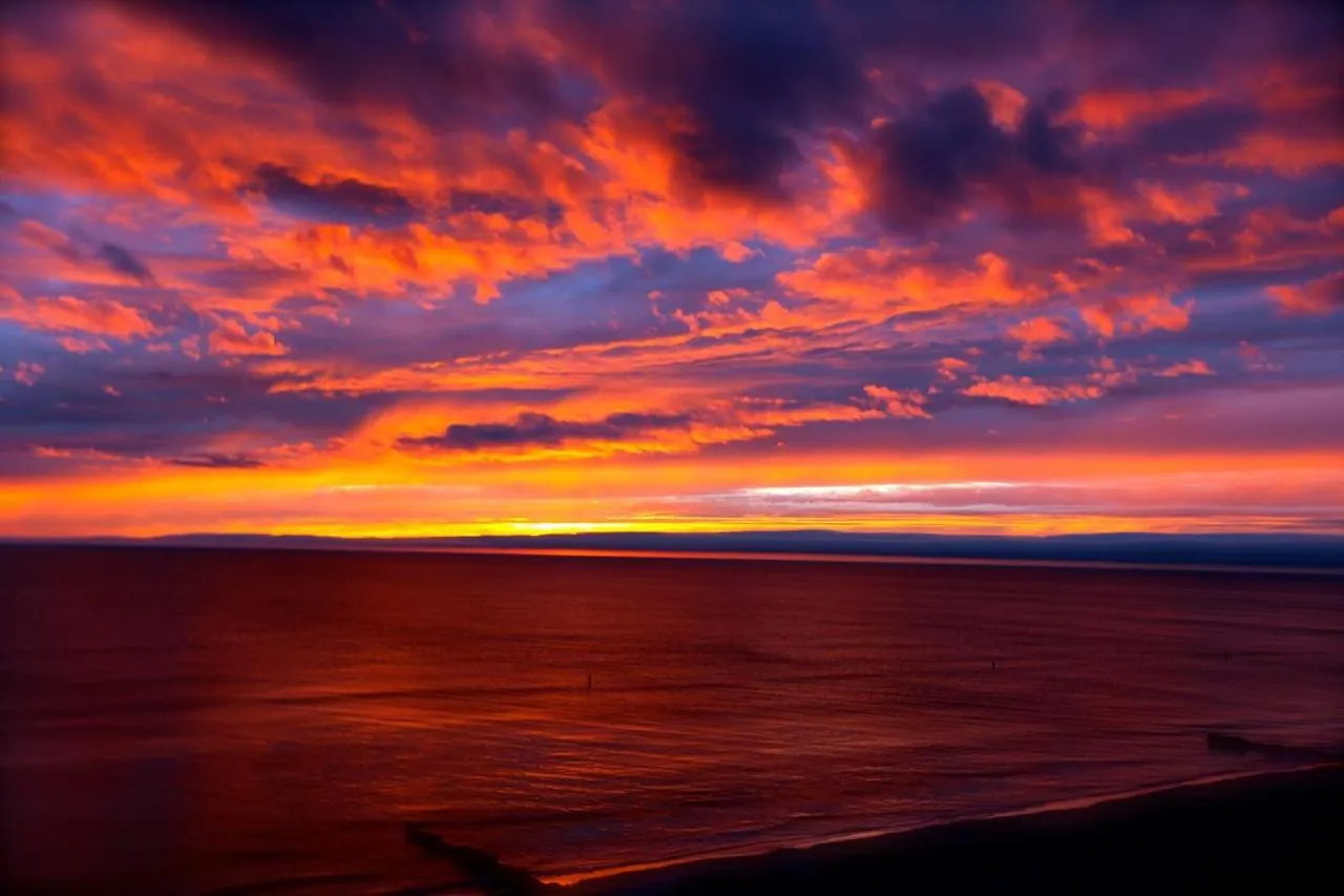 Welcome to the best beach anywhere