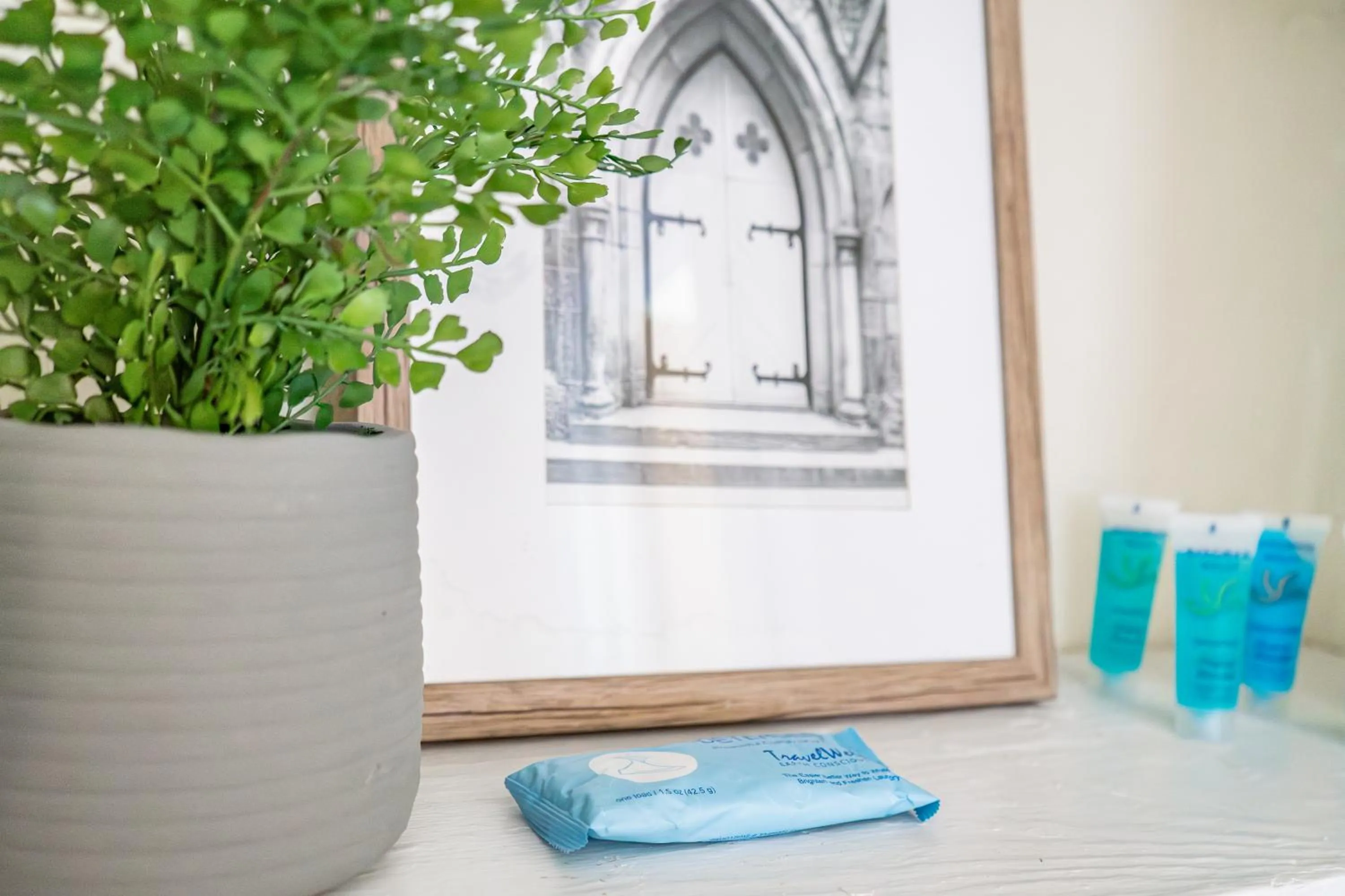 The Flats on Florida St - Super Comfy 2-Bedroom Apartments