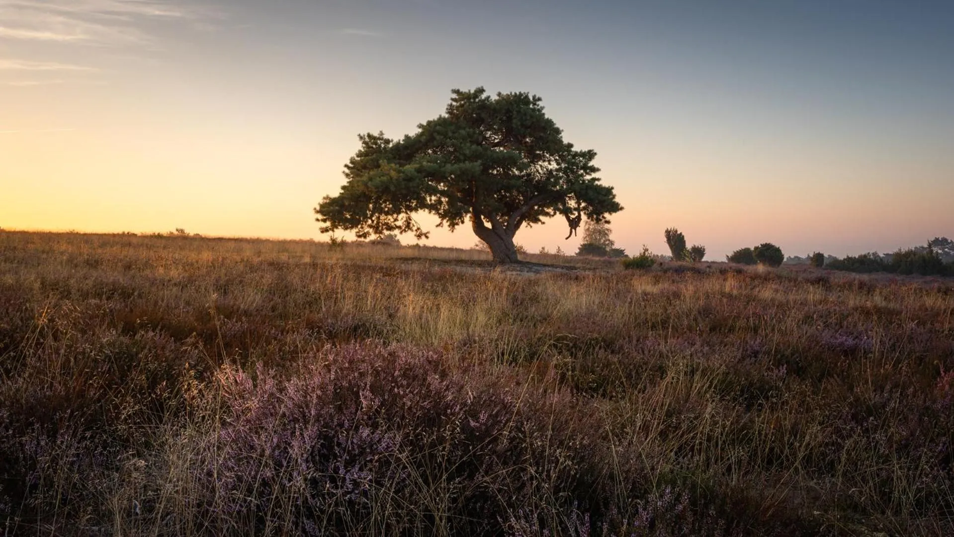 Area and facilities in Hotel De Barones