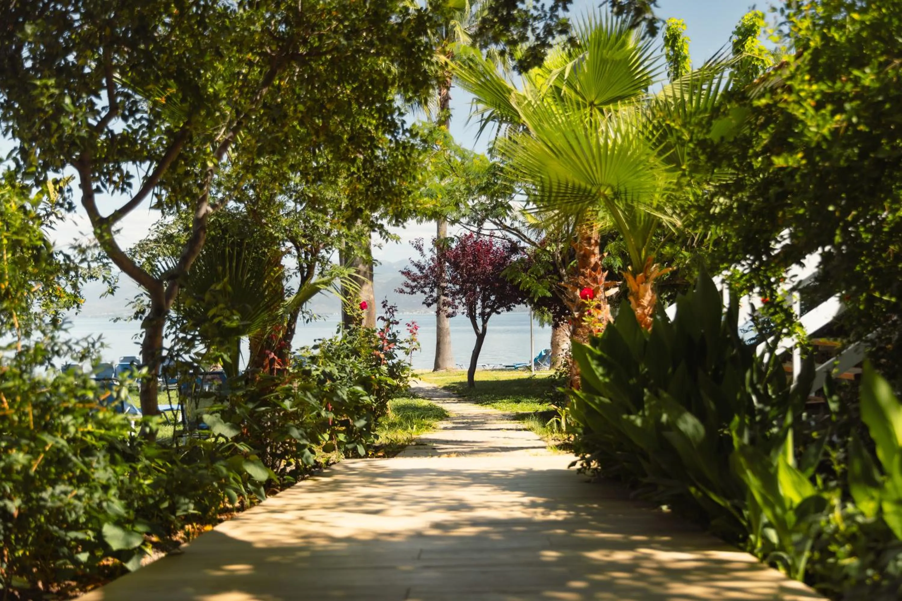 Garden in HOTEL SISSY