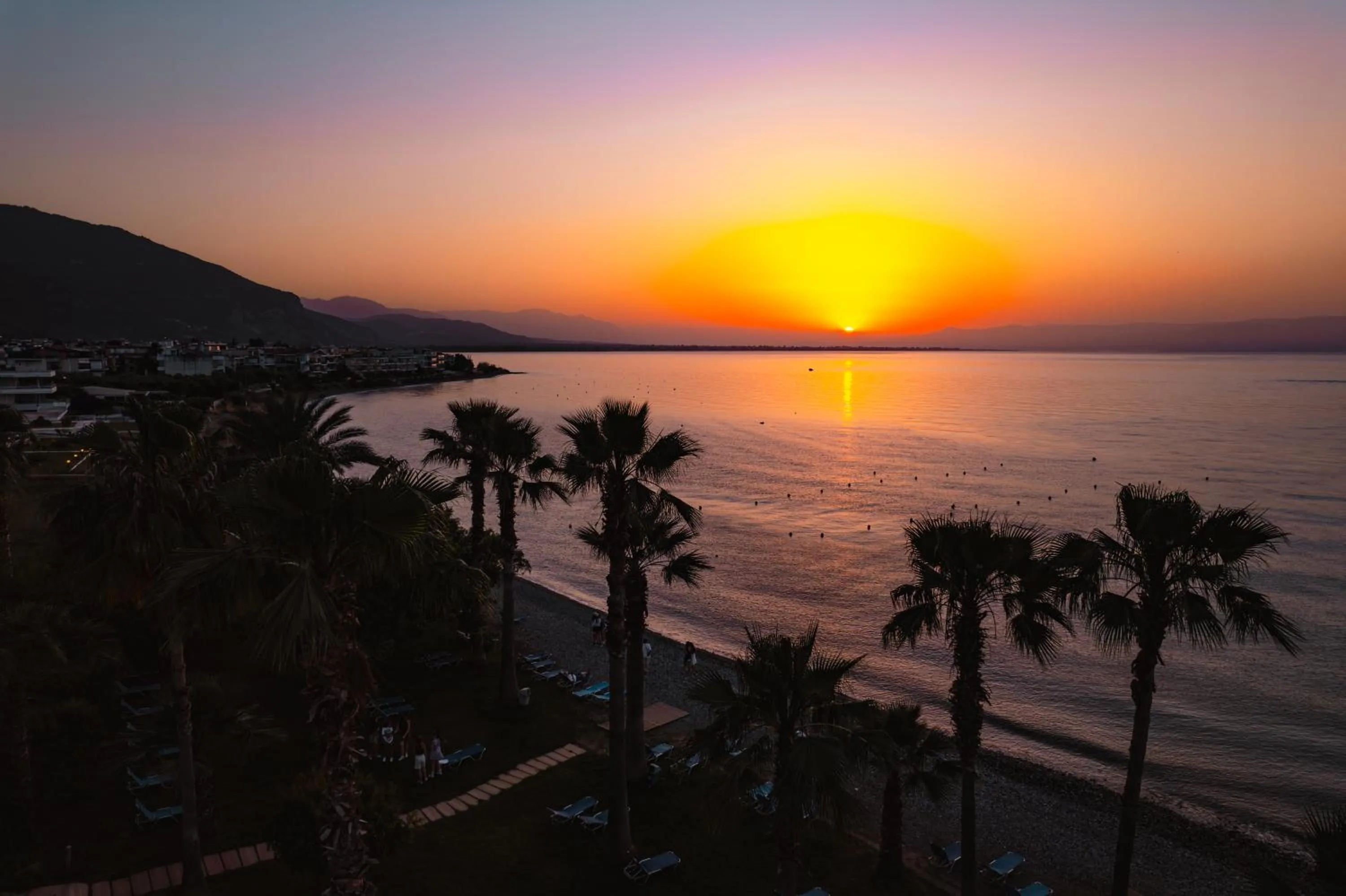 Garden in HOTEL SISSY