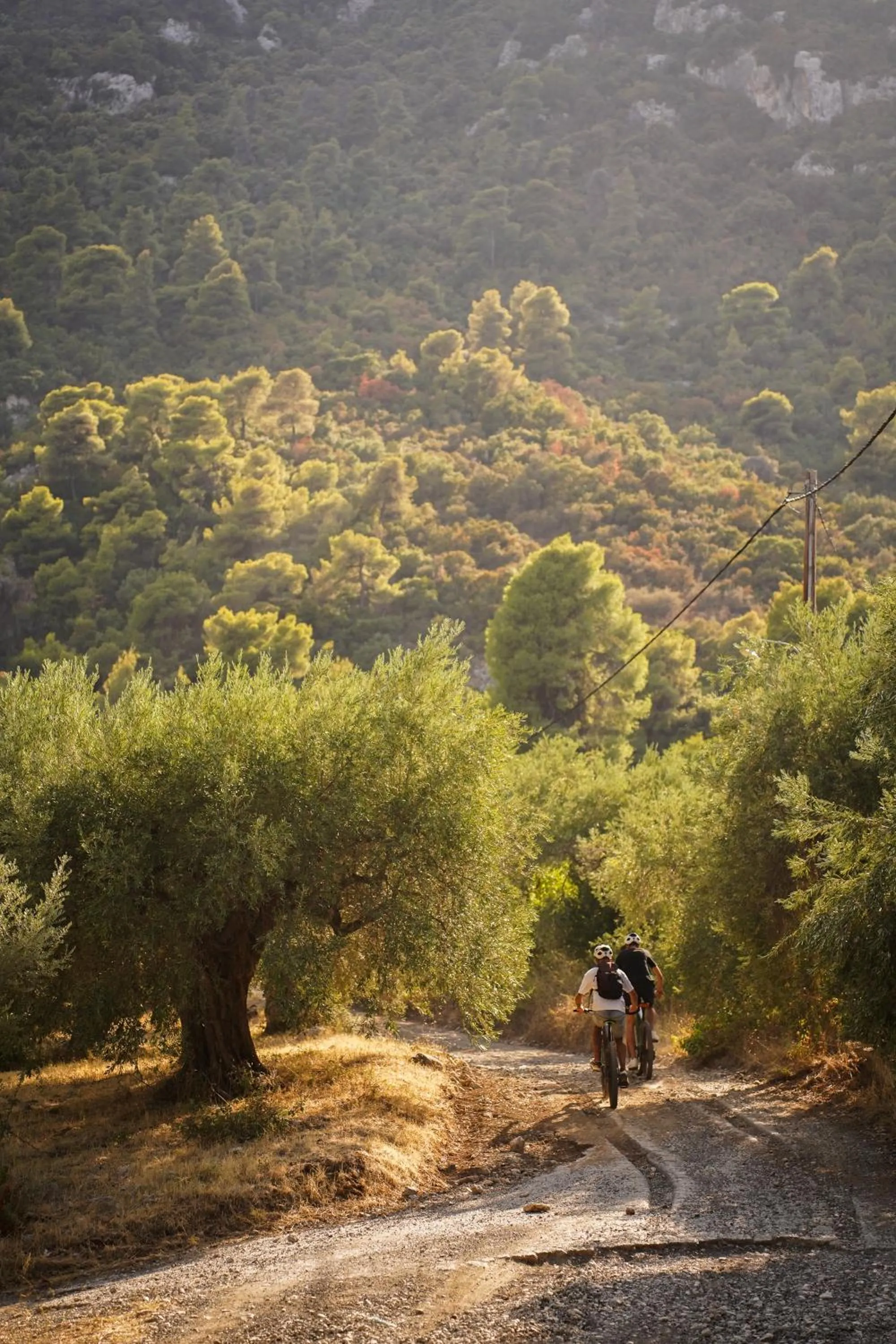 Autumn in HOTEL SISSY