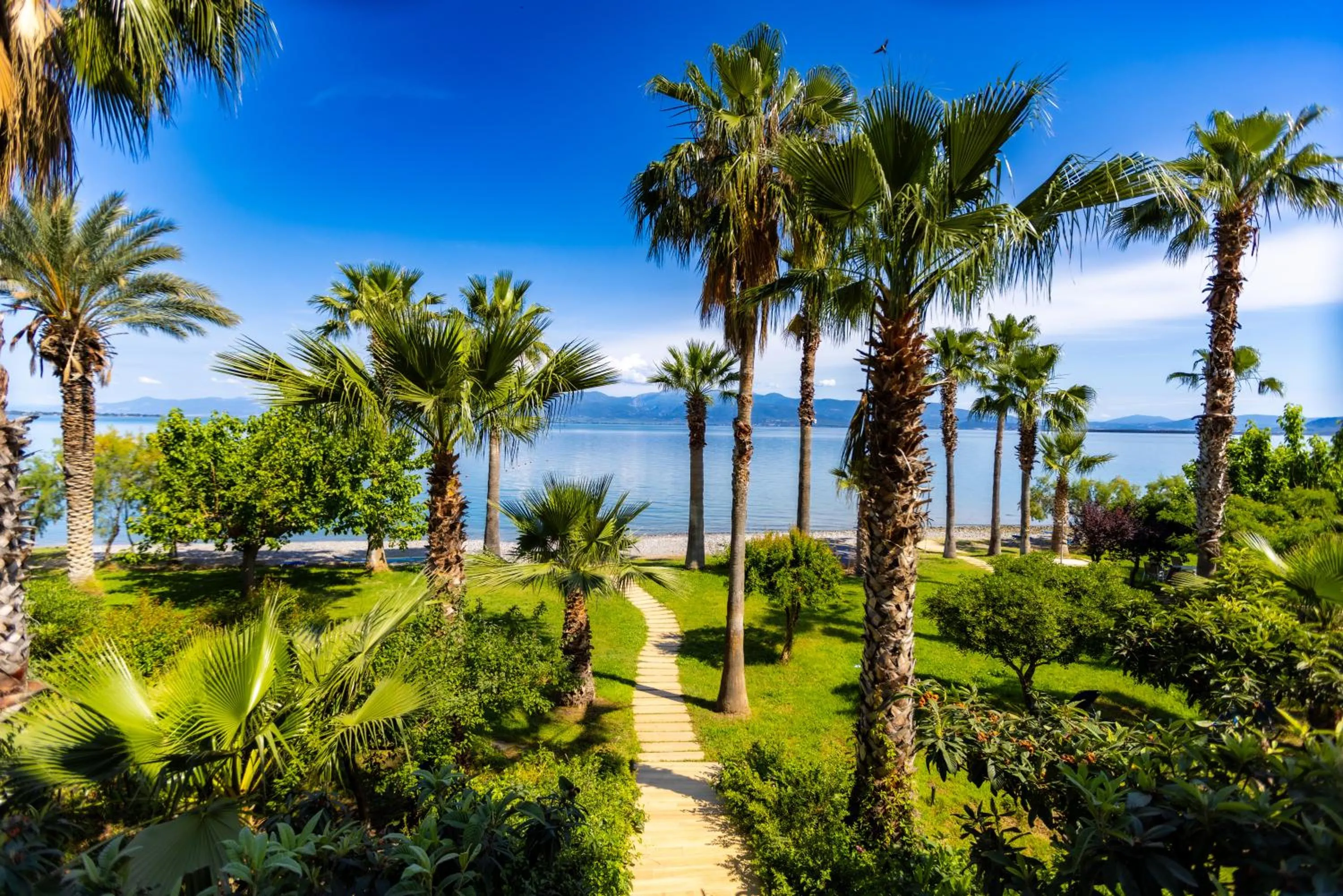 Garden in HOTEL SISSY