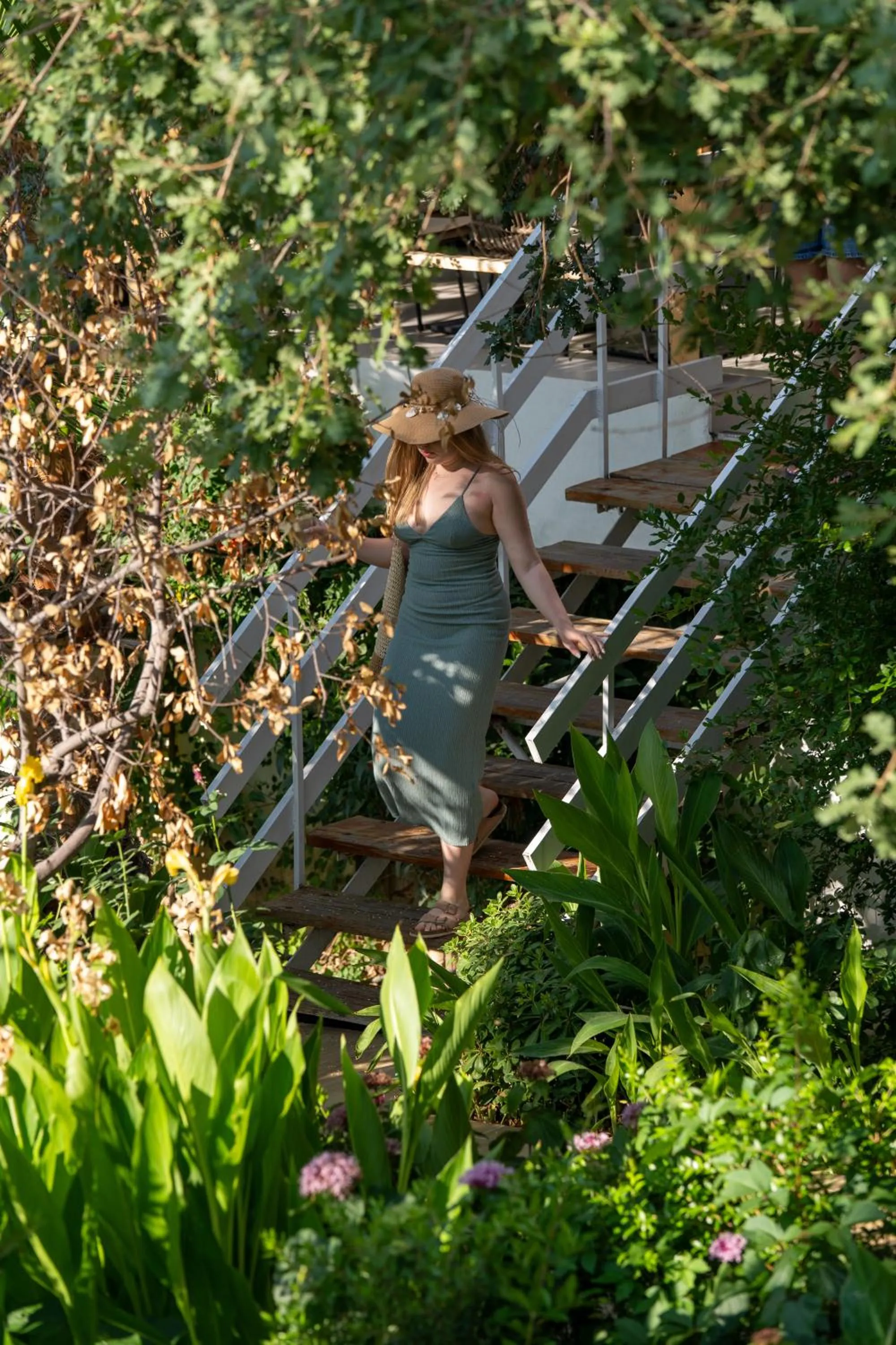 Restaurant/places to eat in HOTEL SISSY