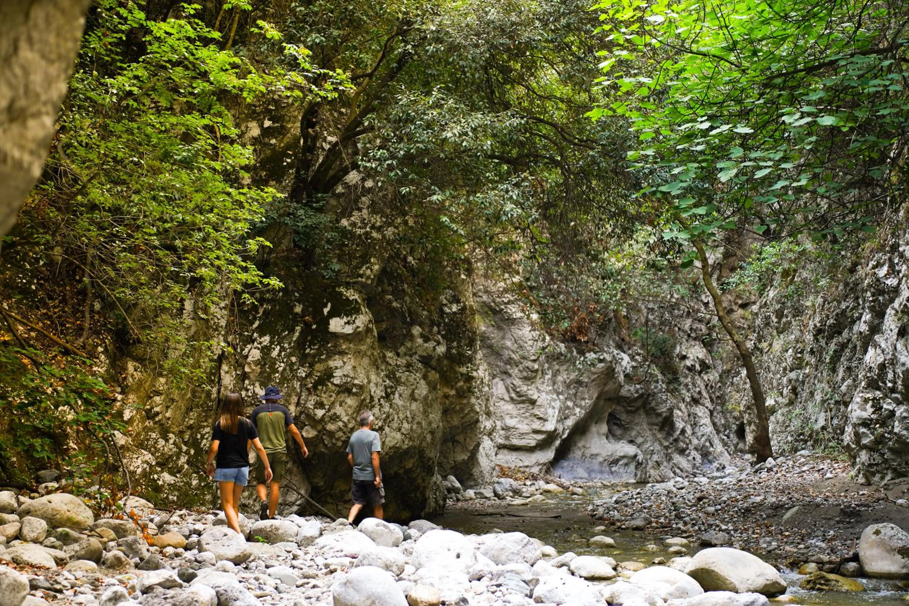 Autumn in HOTEL SISSY