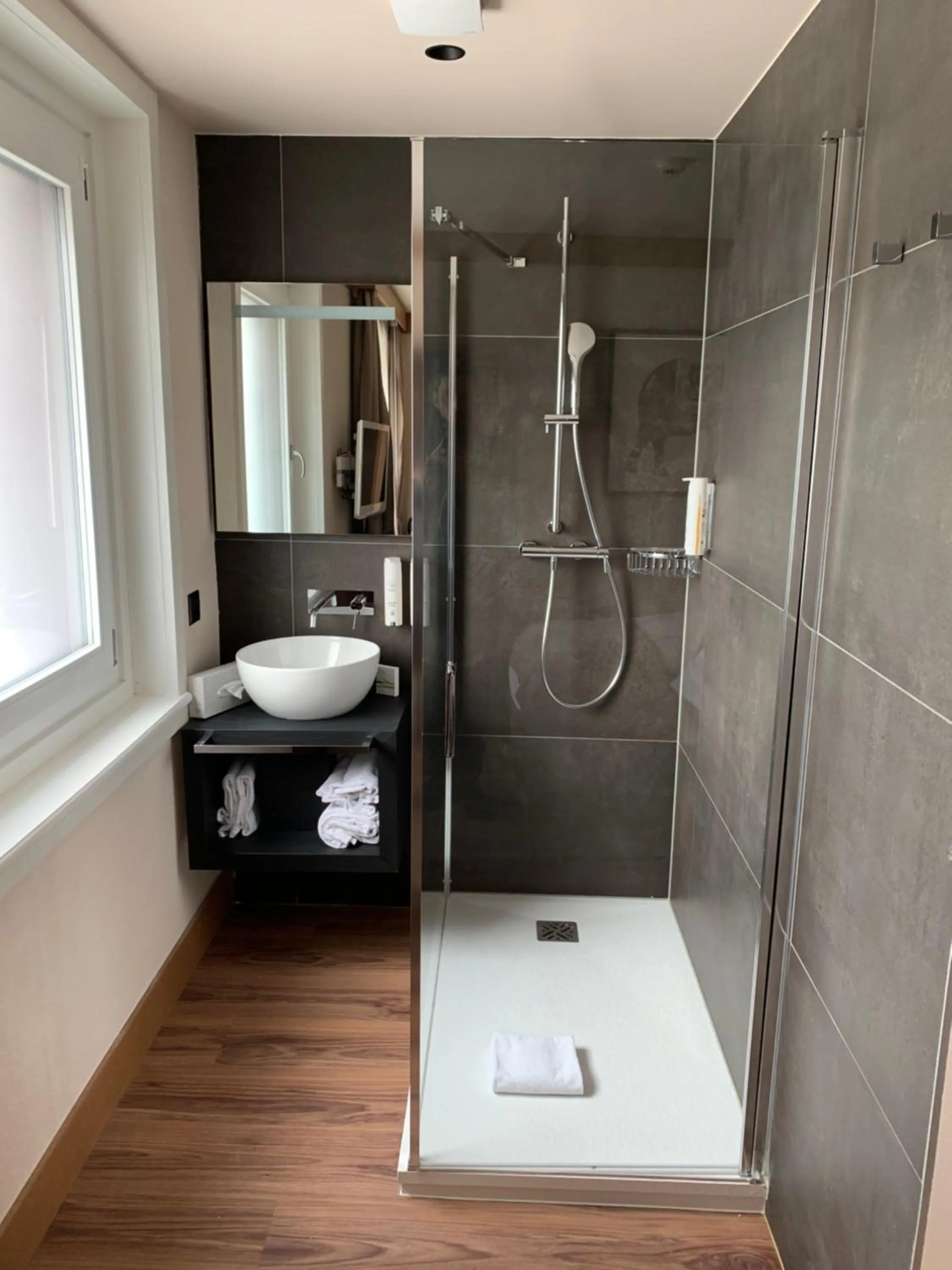 Bathroom in Hôtel Rallye & Entrées aux Bains de la Gruyère