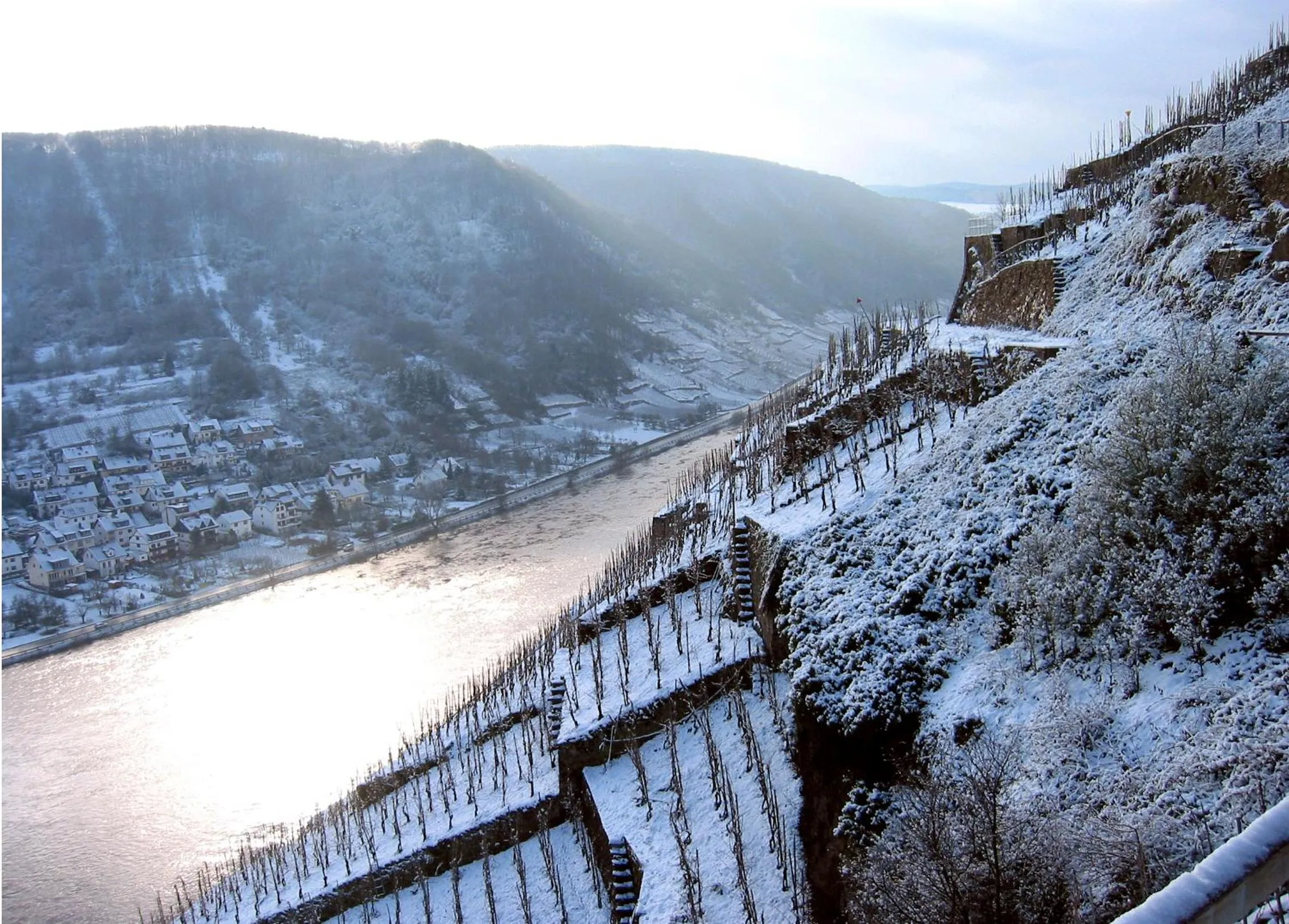 Natural landscape in Hotel Emmerich