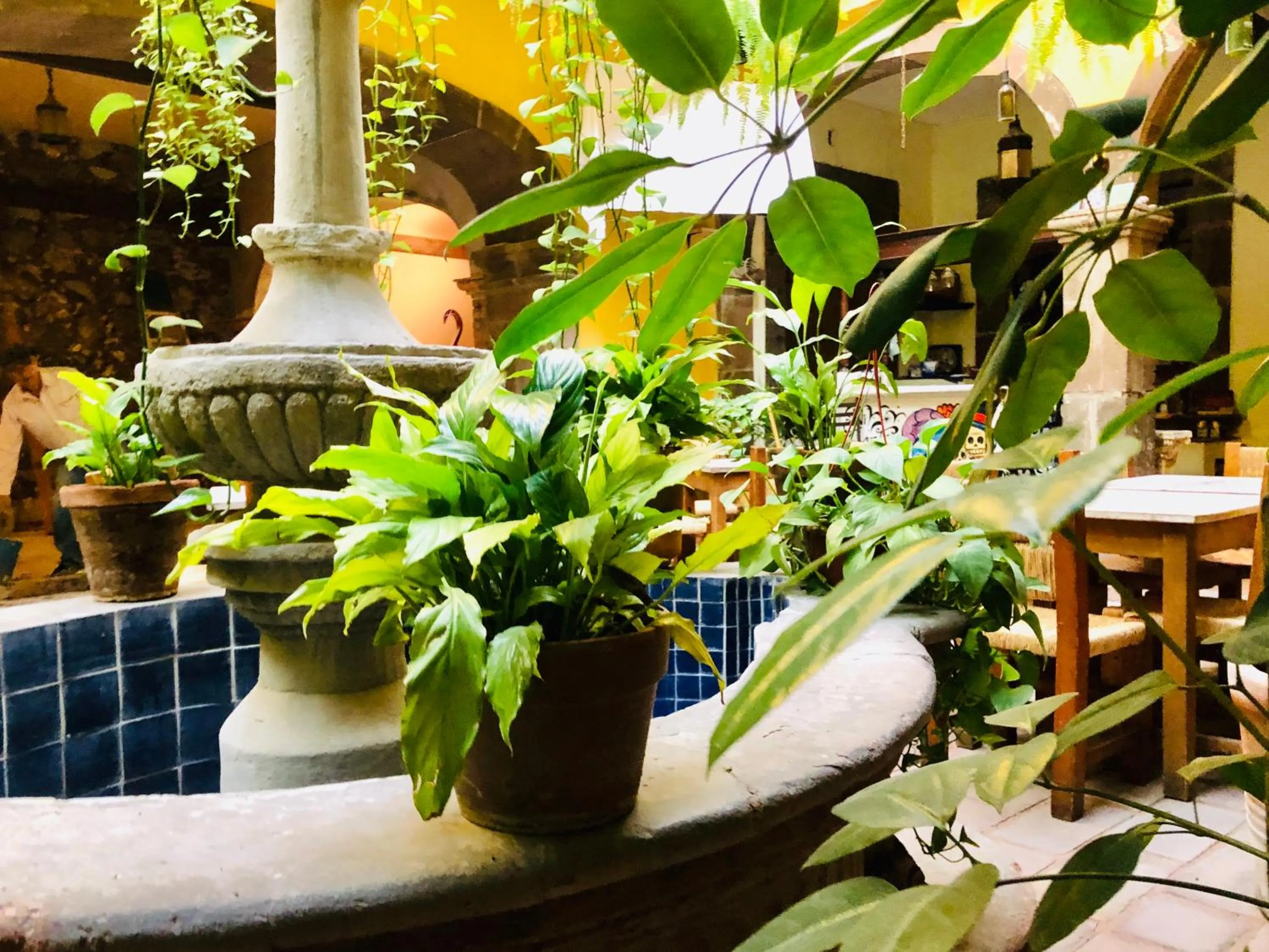 Decorative detail in Hotel Mansión Virreyes by Rotamundos