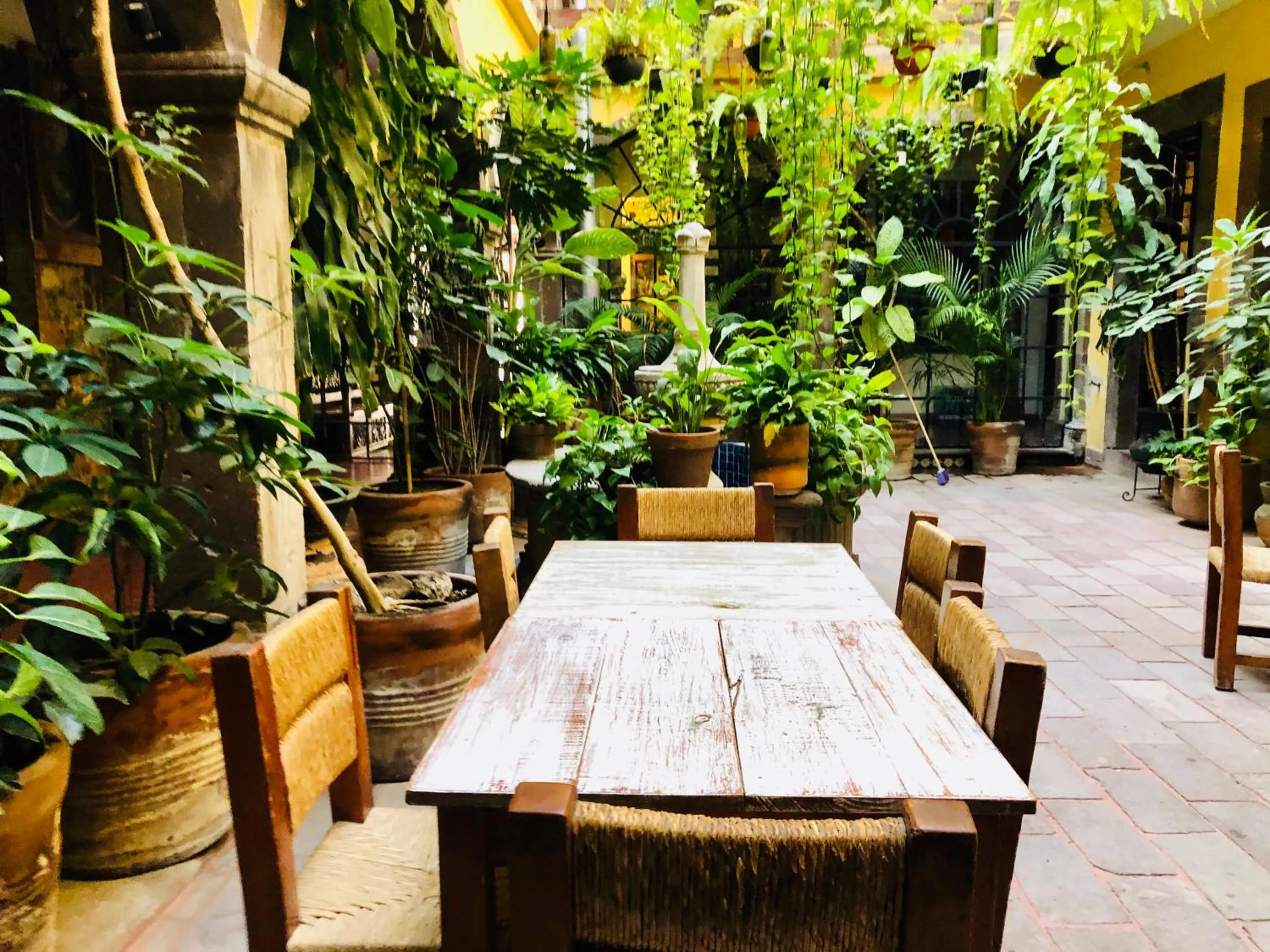 Lounge or bar in Hotel Mansión Virreyes by Rotamundos