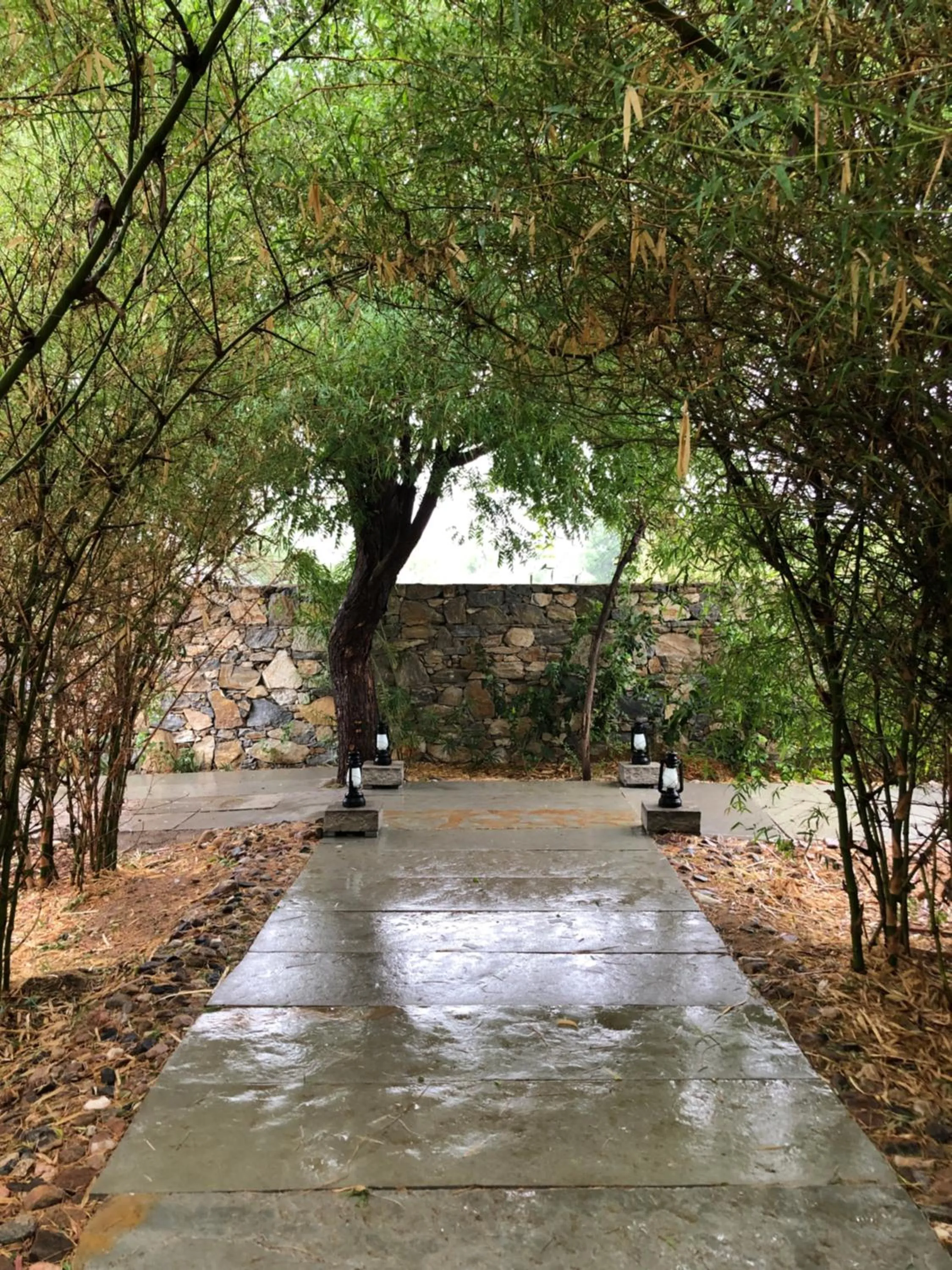 View (from property/room) in Bijapur Lodge Jawai