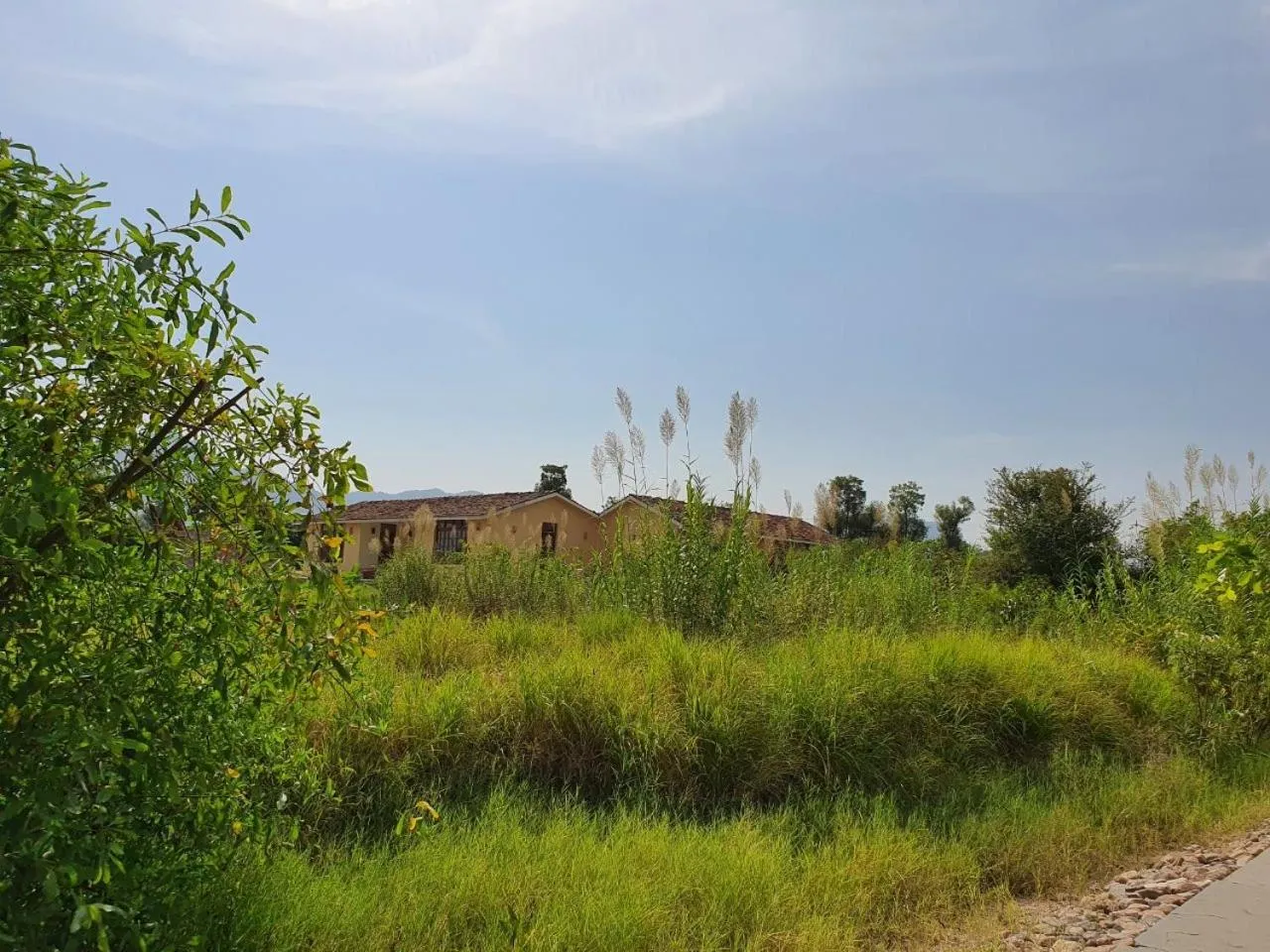 Property building in Bijapur Lodge Jawai