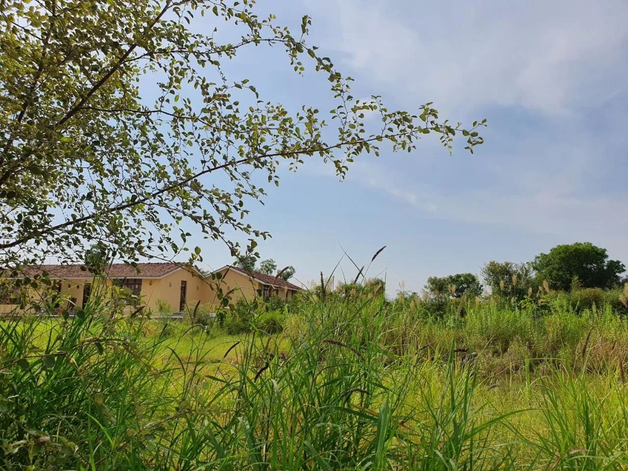 Property building in Bijapur Lodge Jawai