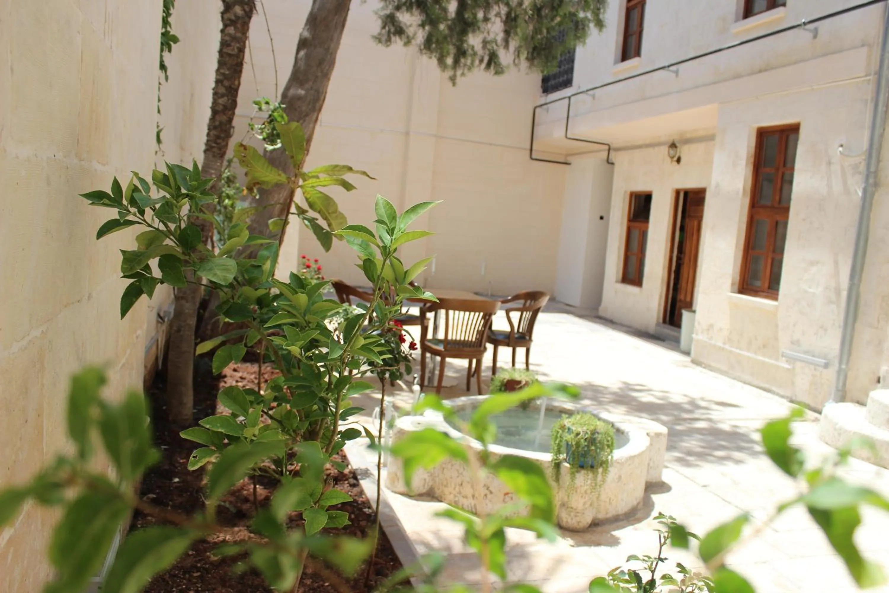 Garden in Duran Aga Konagi