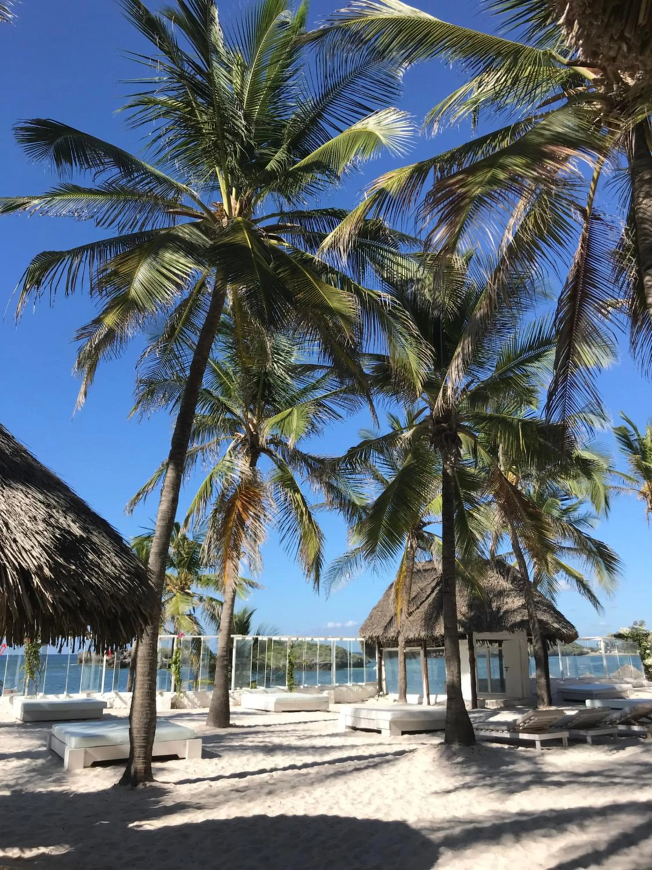 Beach in Barracuda Inn Resort
