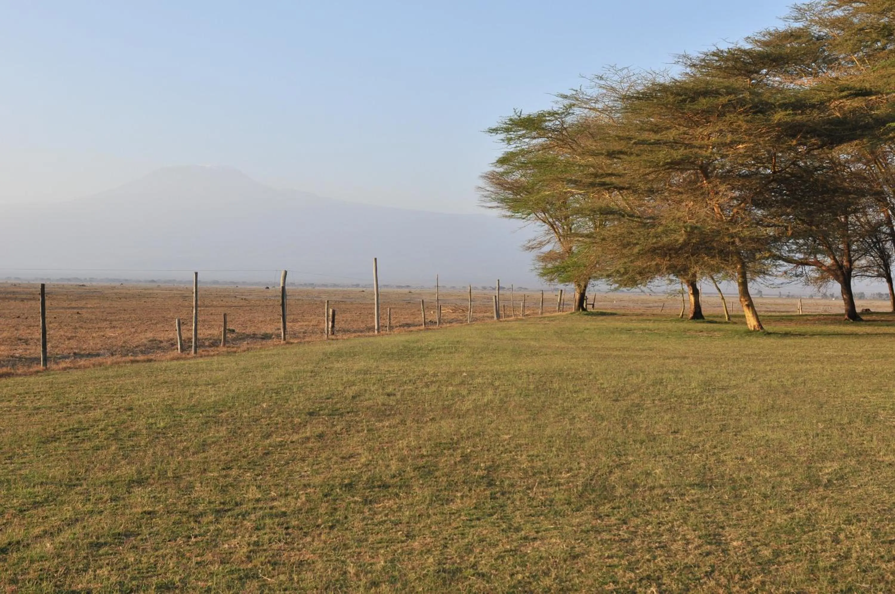 Garden view in Ol Tukai Lodge Amboseli